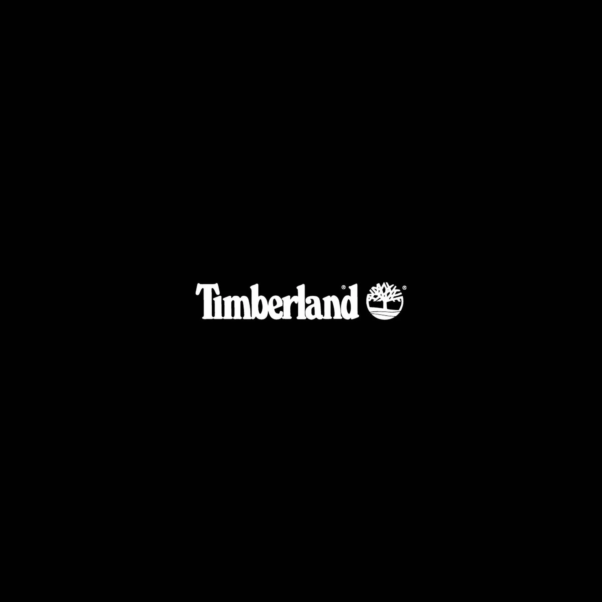 Timberland folder - 12