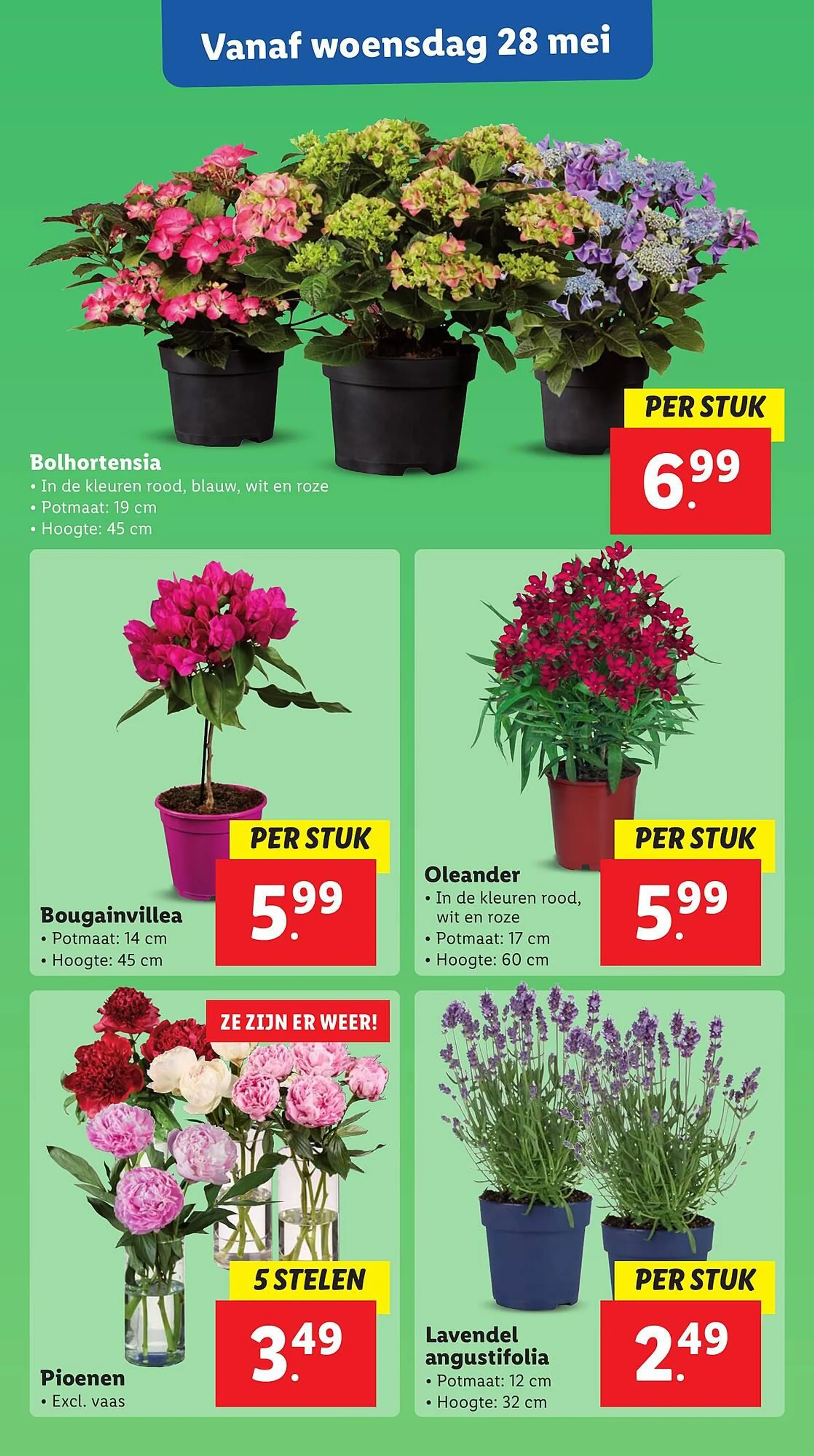 Lidl folder van 26 mei tot 1 juni 2025 - Folder pagina 50