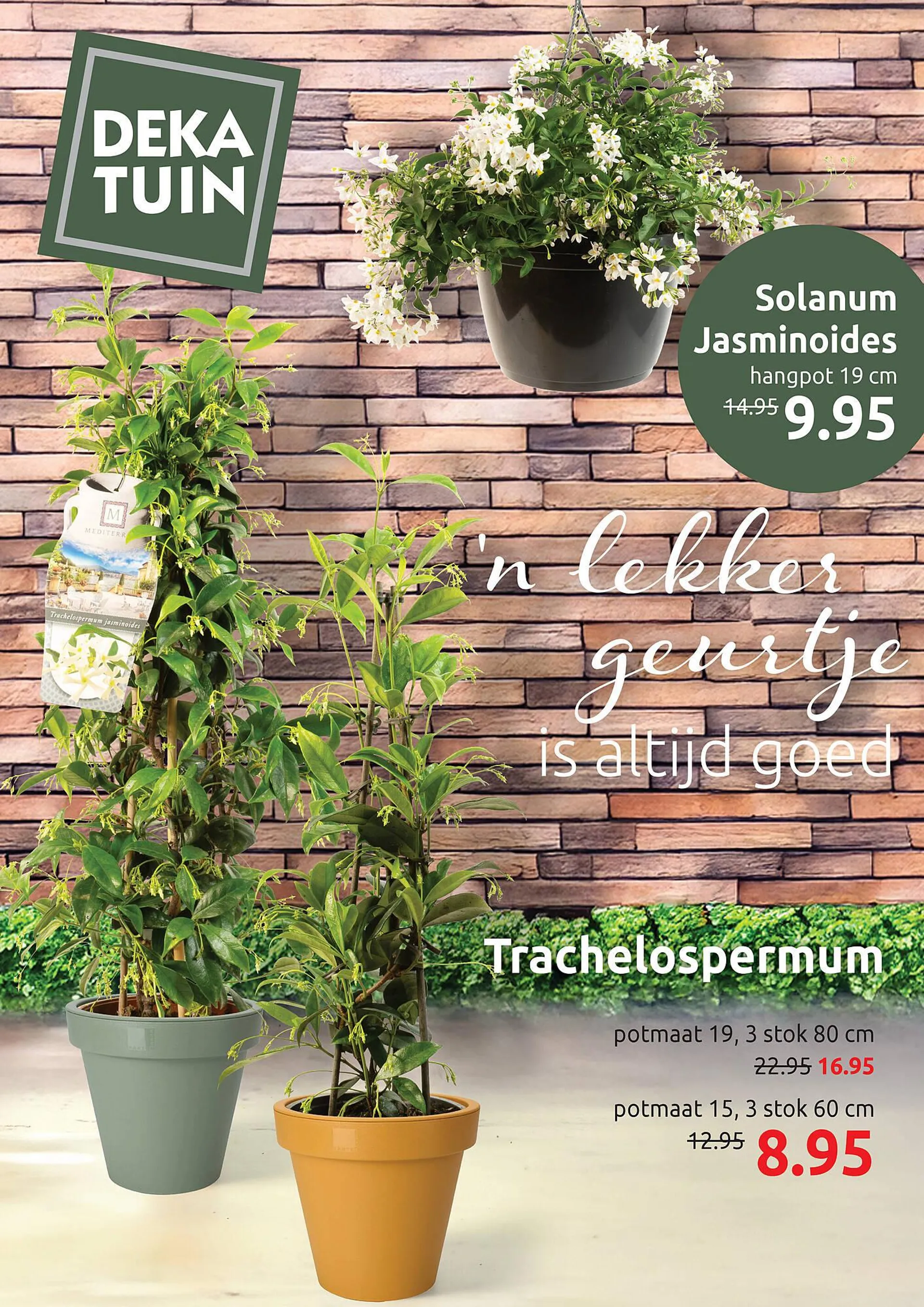 Deka Tuin folder - 1