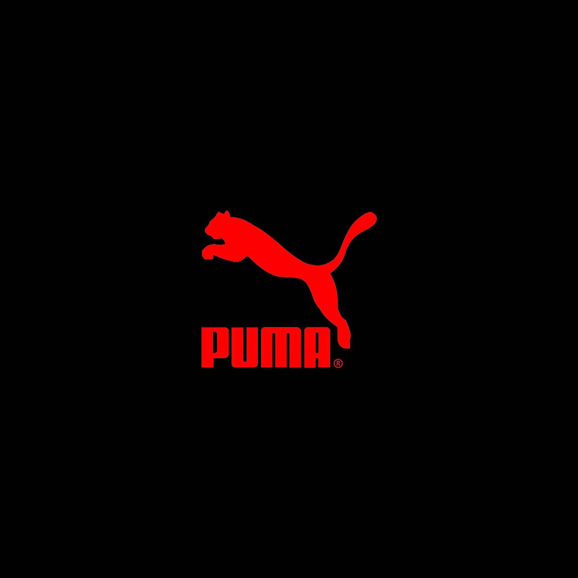 Puma folder - 12