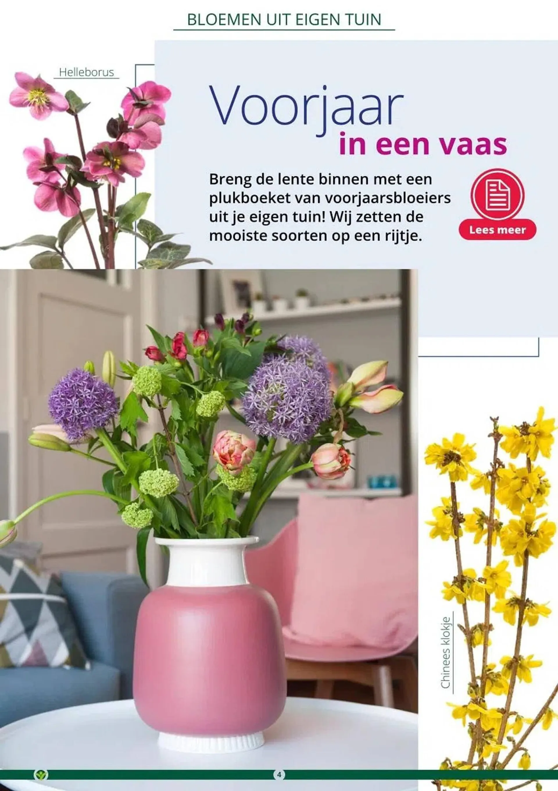 GroenRijk folder van 1 maart tot 30 juni 2024 - Folder pagina 4