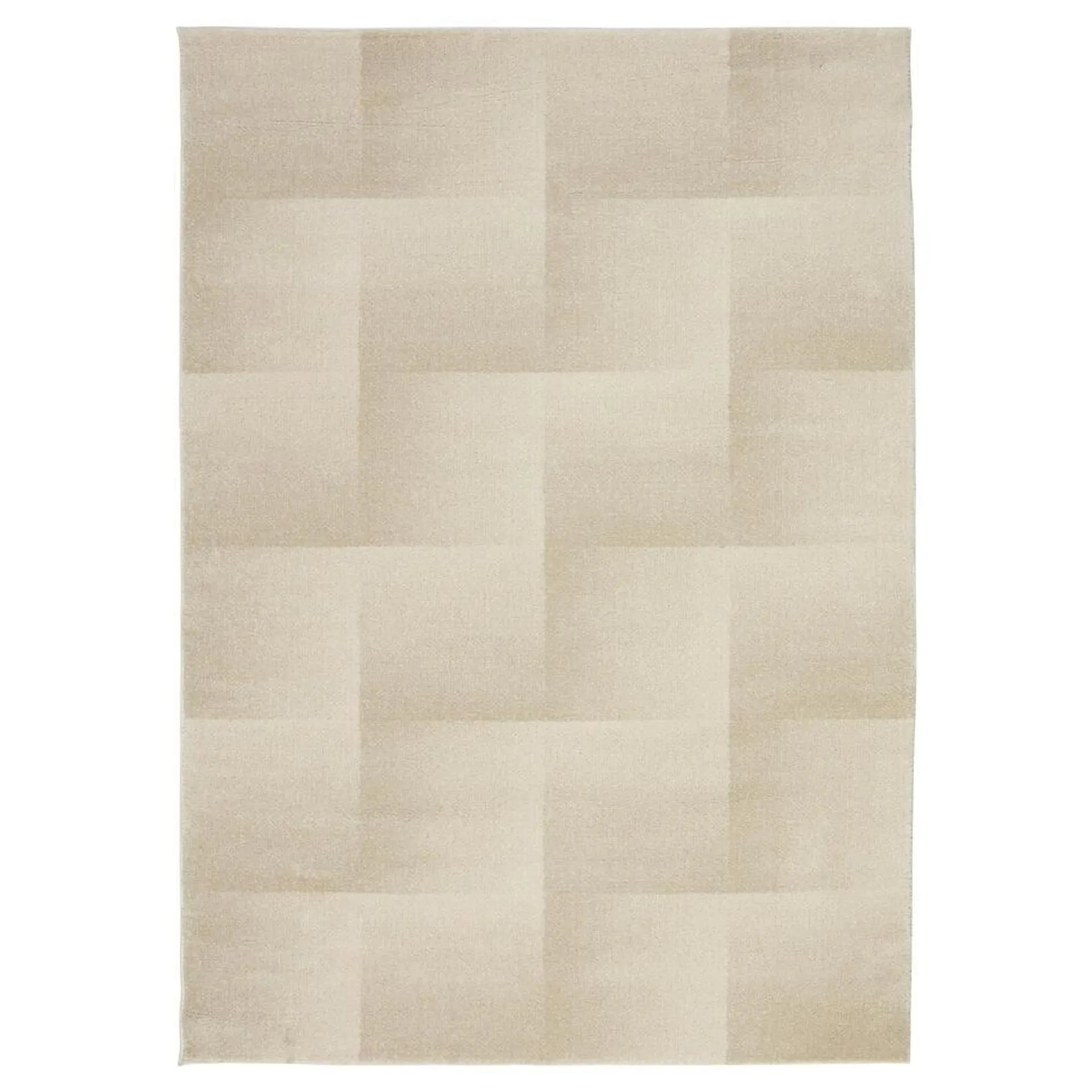 Vloerkleed Anvik Beige 200x290 cm