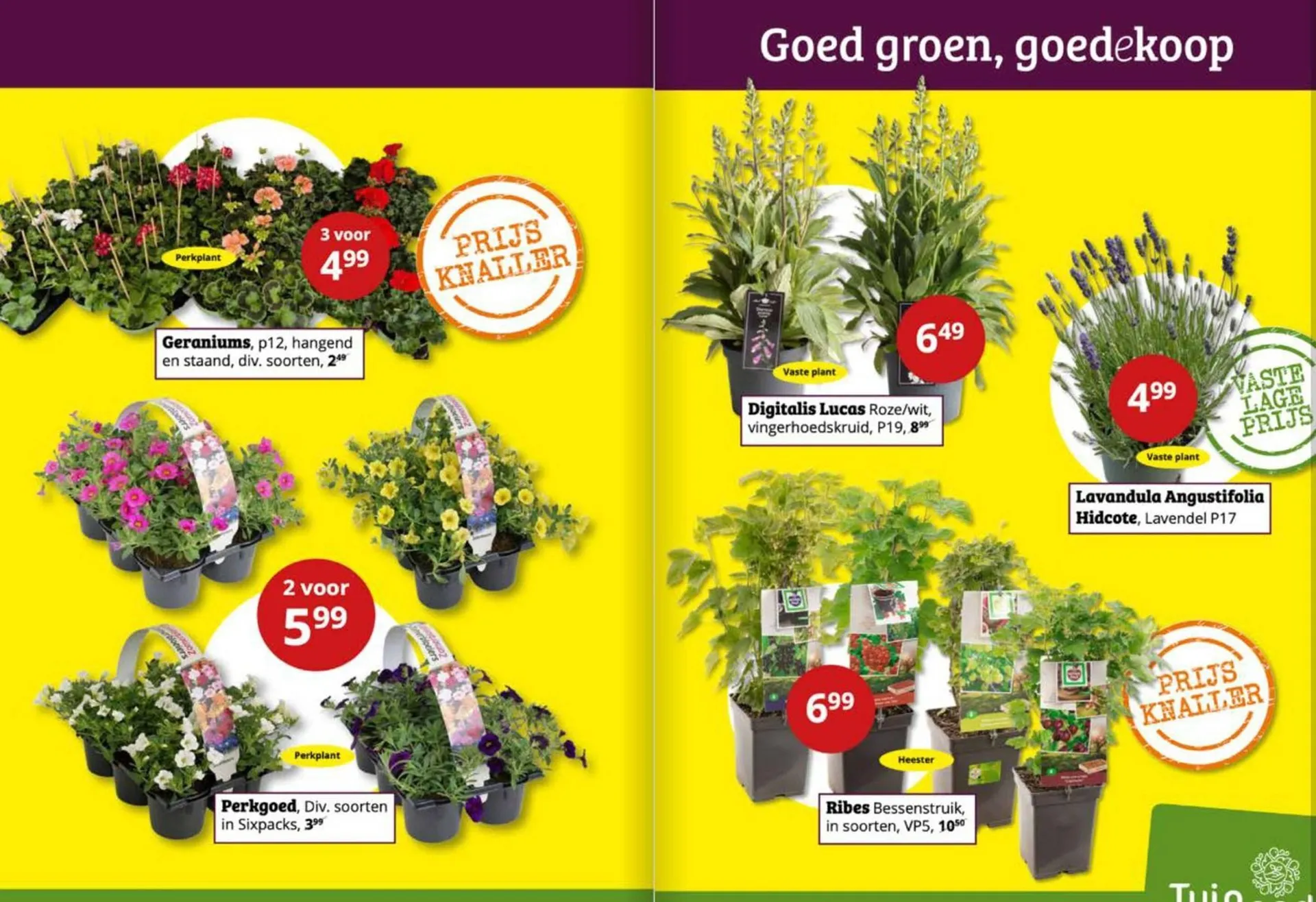 Tuinland folder van 14 mei tot 25 mei 2025 - Folder pagina 2