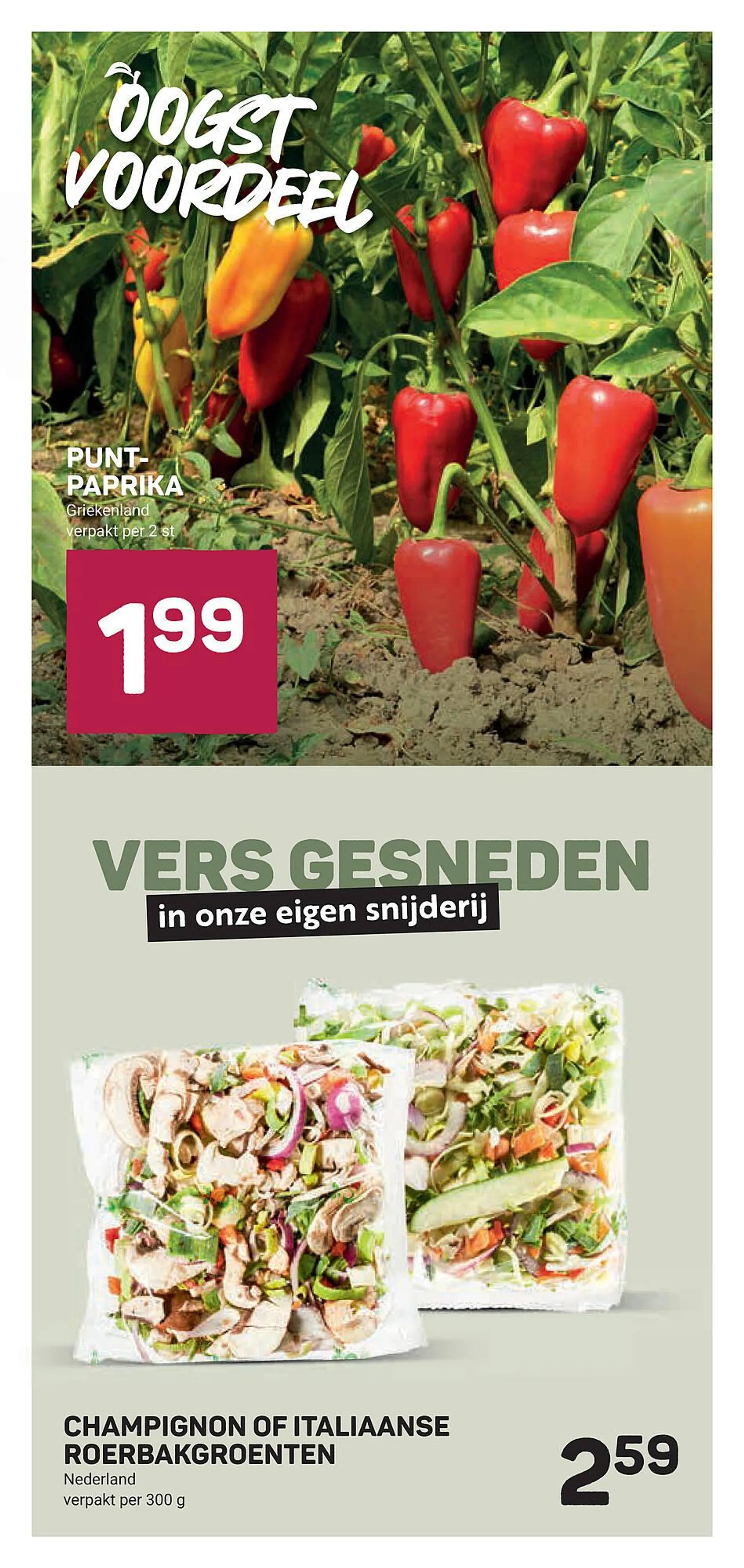 Ekoplaza folder van 30 april tot 6 mei 2025 - Folder pagina 15