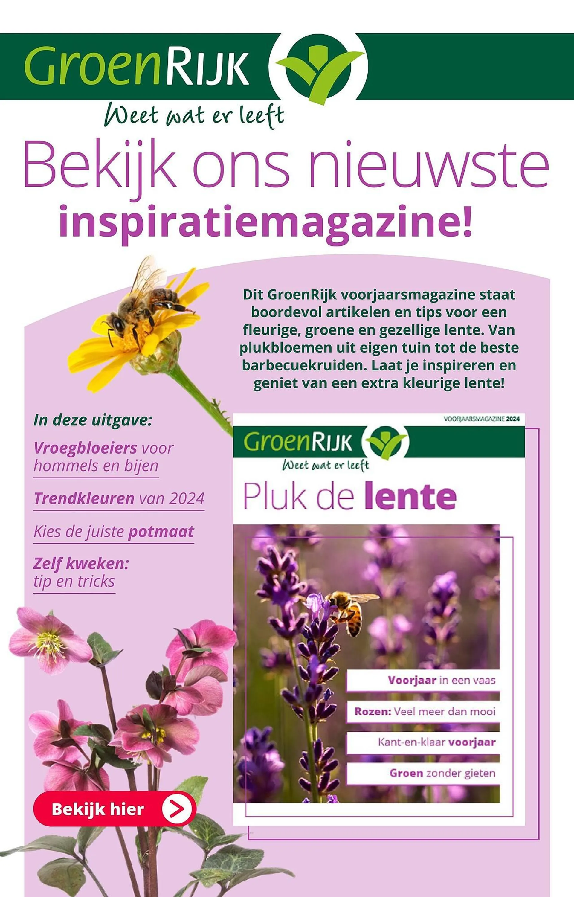 GroenRijk folder van 16 april tot 23 april 2024 - Folder pagina 5