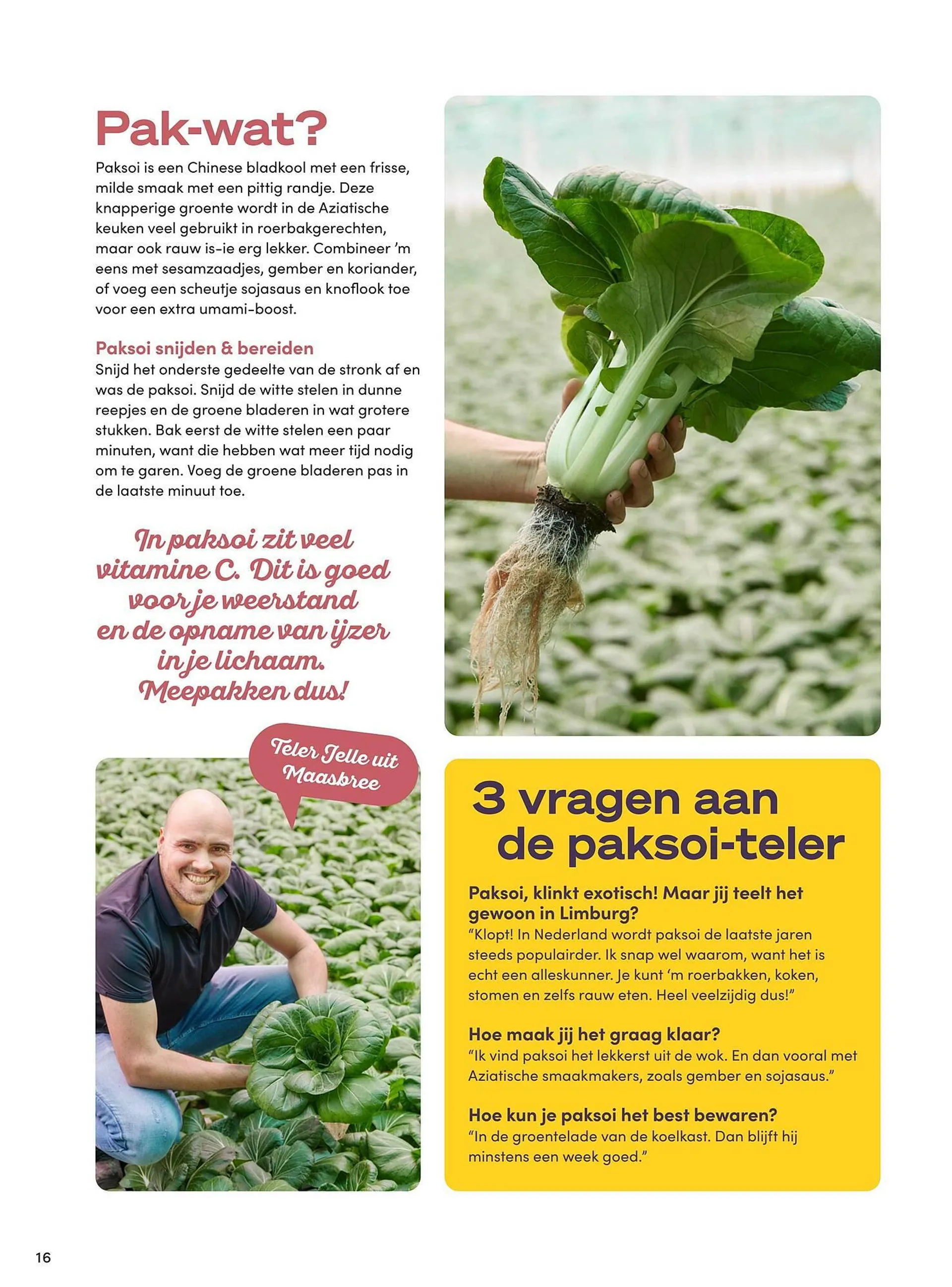 Boodschappen folder van 1 mei tot 31 mei 2025 - Folder pagina 16