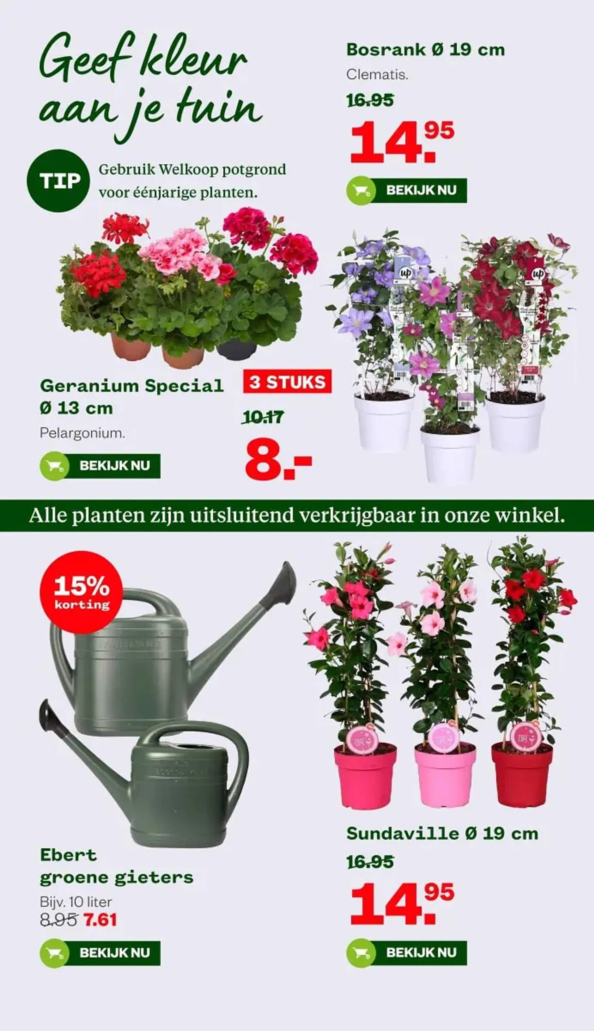 Welkoop folder van 12 mei tot 25 mei 2025 - Folder pagina 6