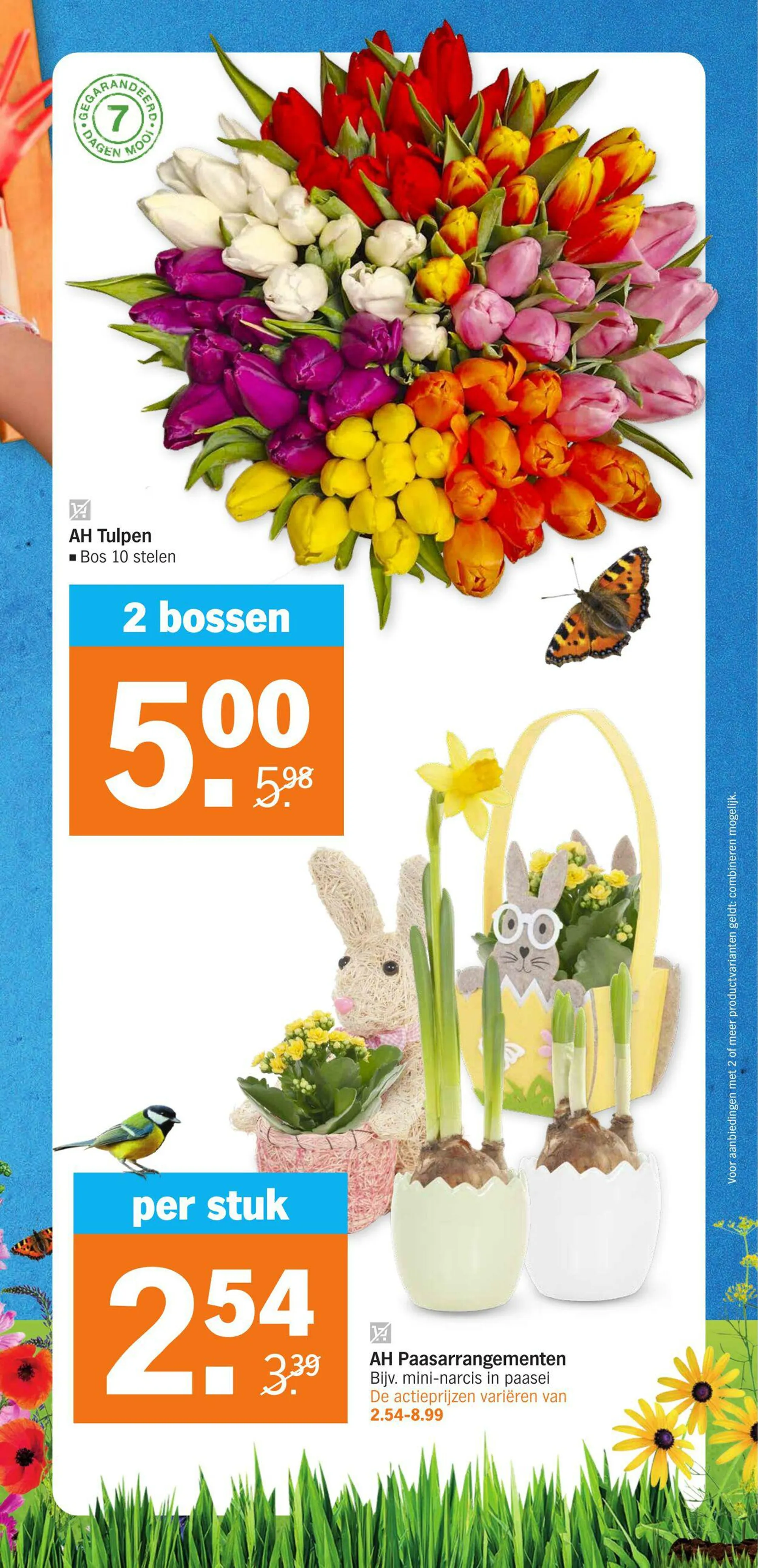 Albert Heijn van 25 maart tot 31 maart 2024 - Folder pagina 31