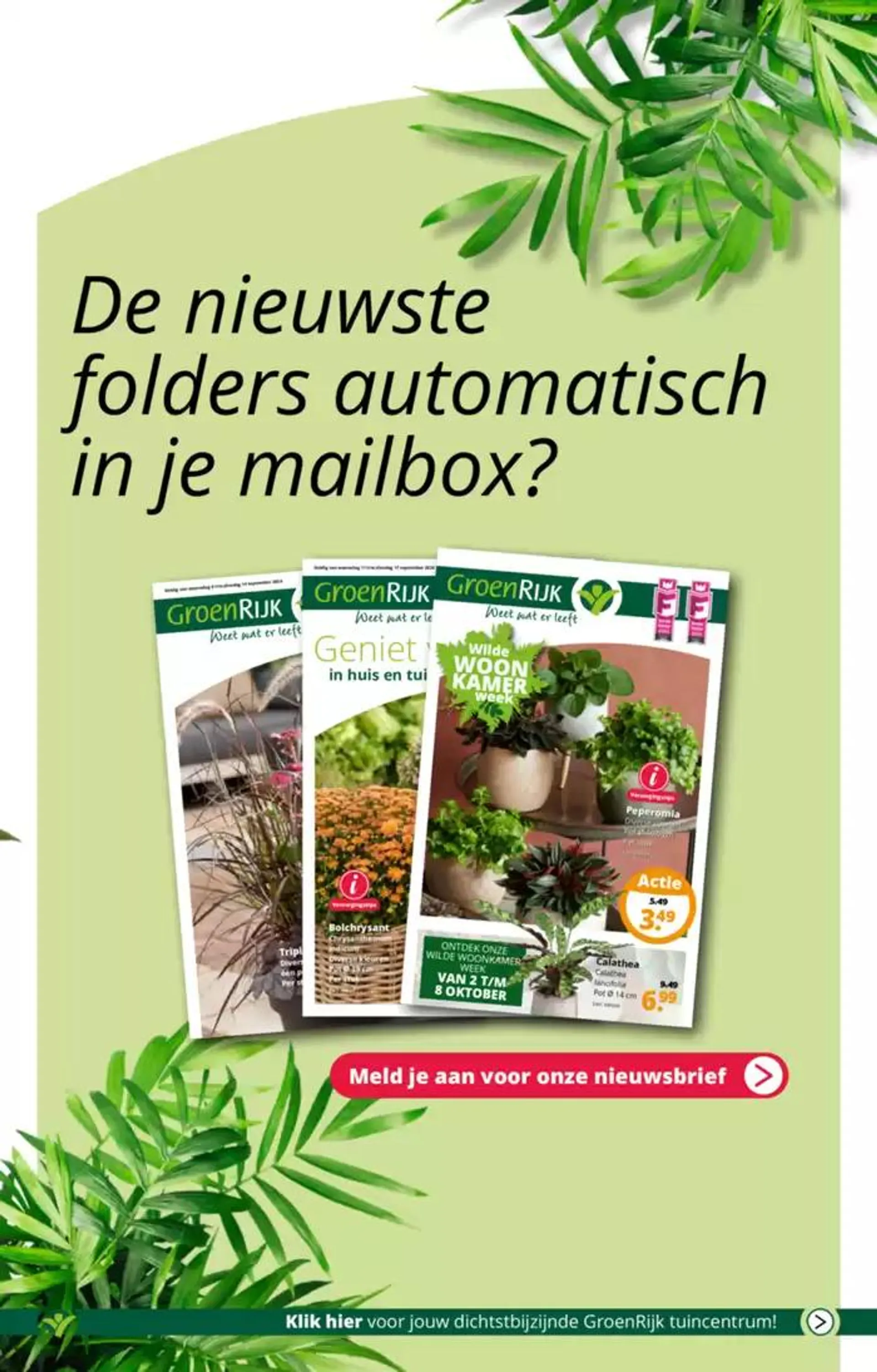 GroenRijk folder van 2 oktober tot 16 oktober 2024 - Folder pagina 18