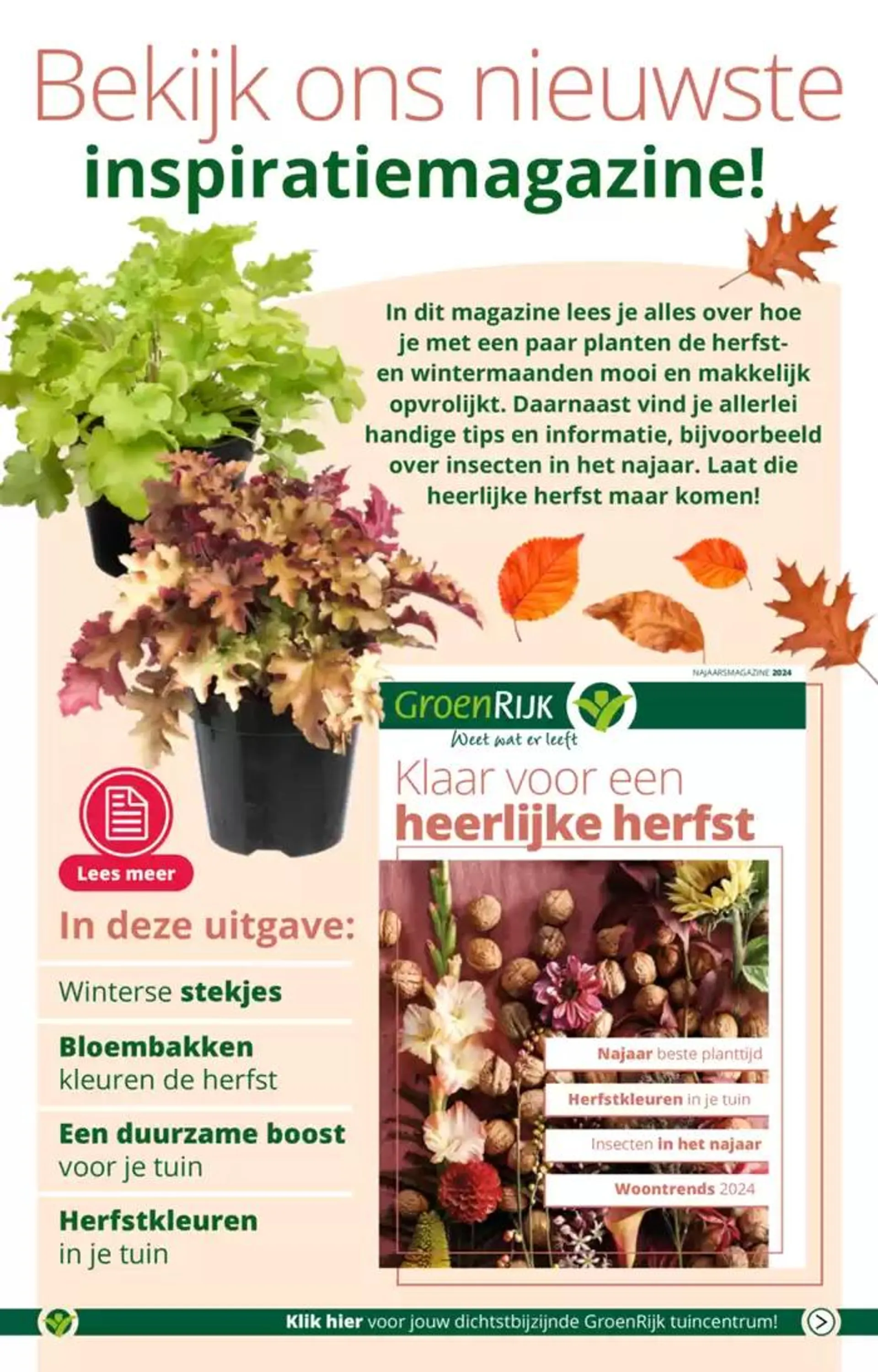 GroenRijk folder van 2 oktober tot 16 oktober 2024 - Folder pagina 3