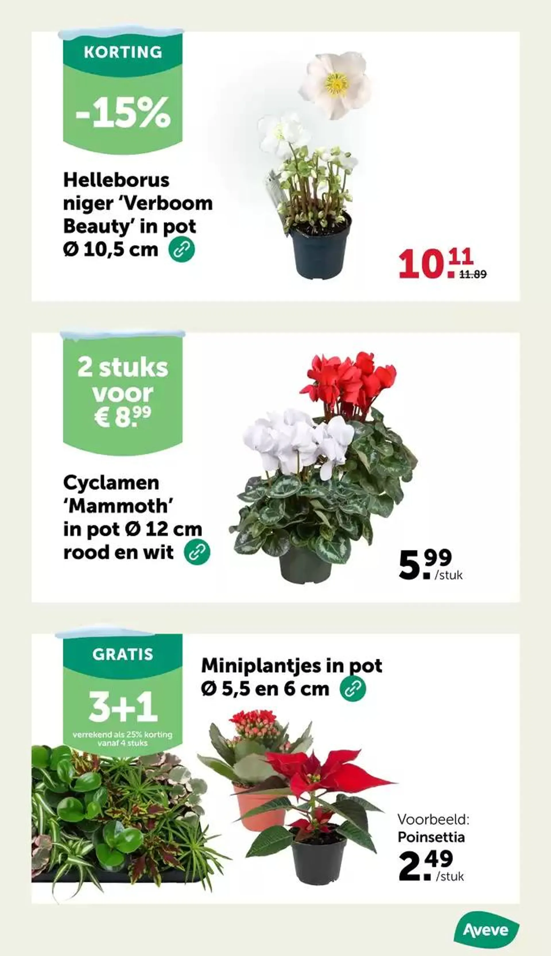 De mooiste kerstbomen uit eigen land van 27 november tot 8 december 2024 - Folder pagina 23