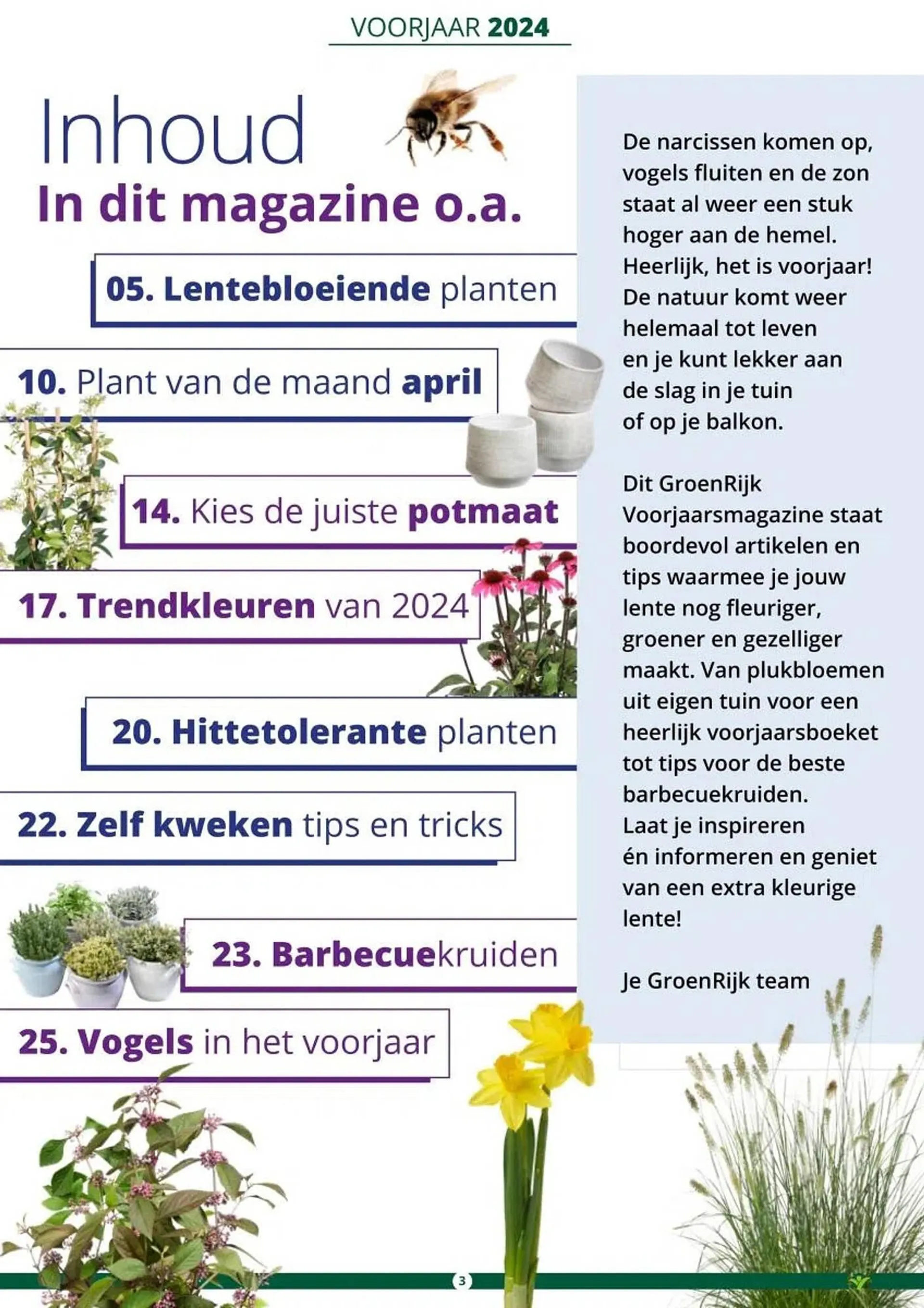 GroenRijk folder van 1 maart tot 30 juni 2024 - Folder pagina 3