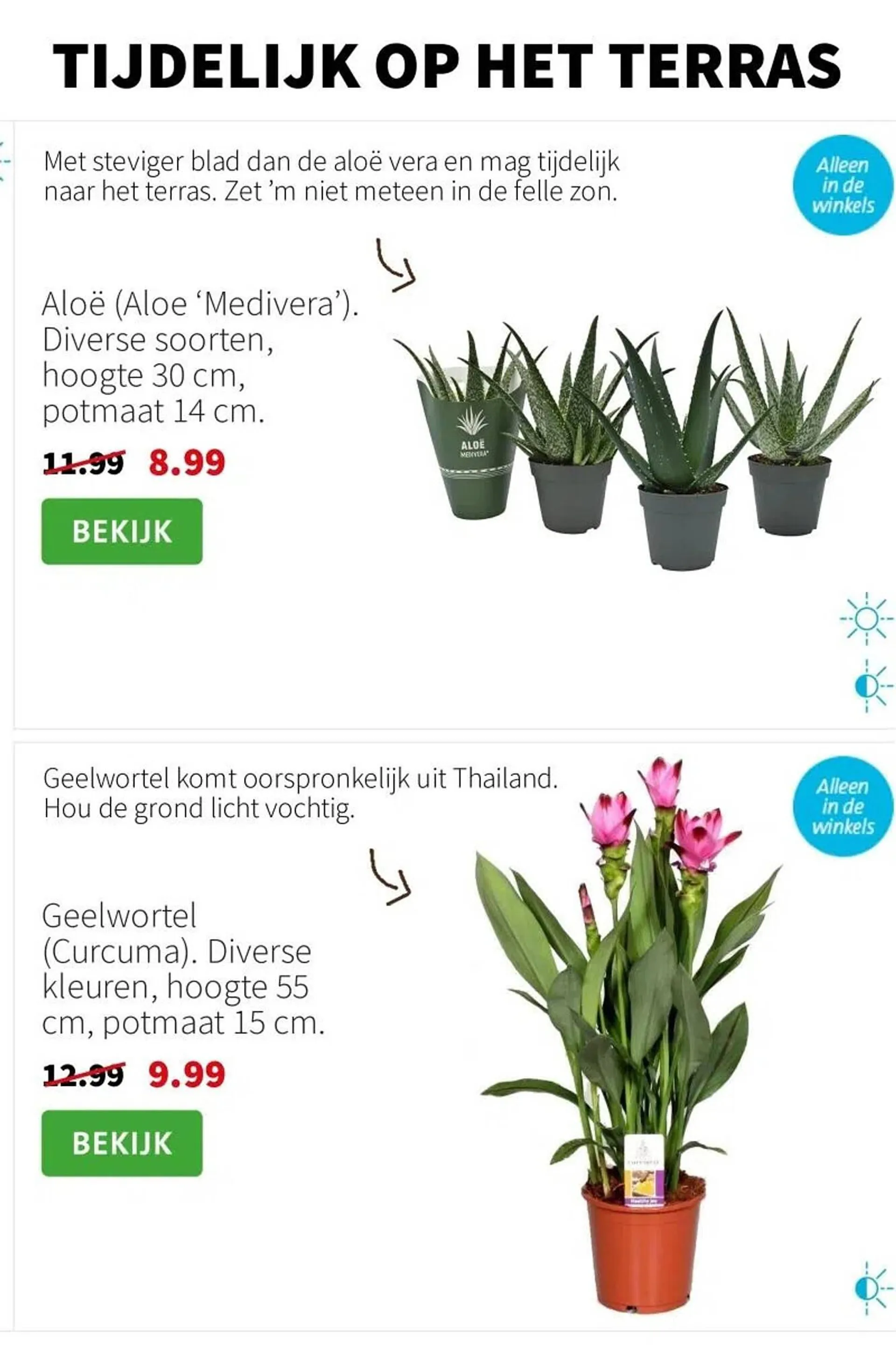 Intratuin folder van 12 mei tot 18 mei 2025 - Folder pagina 3