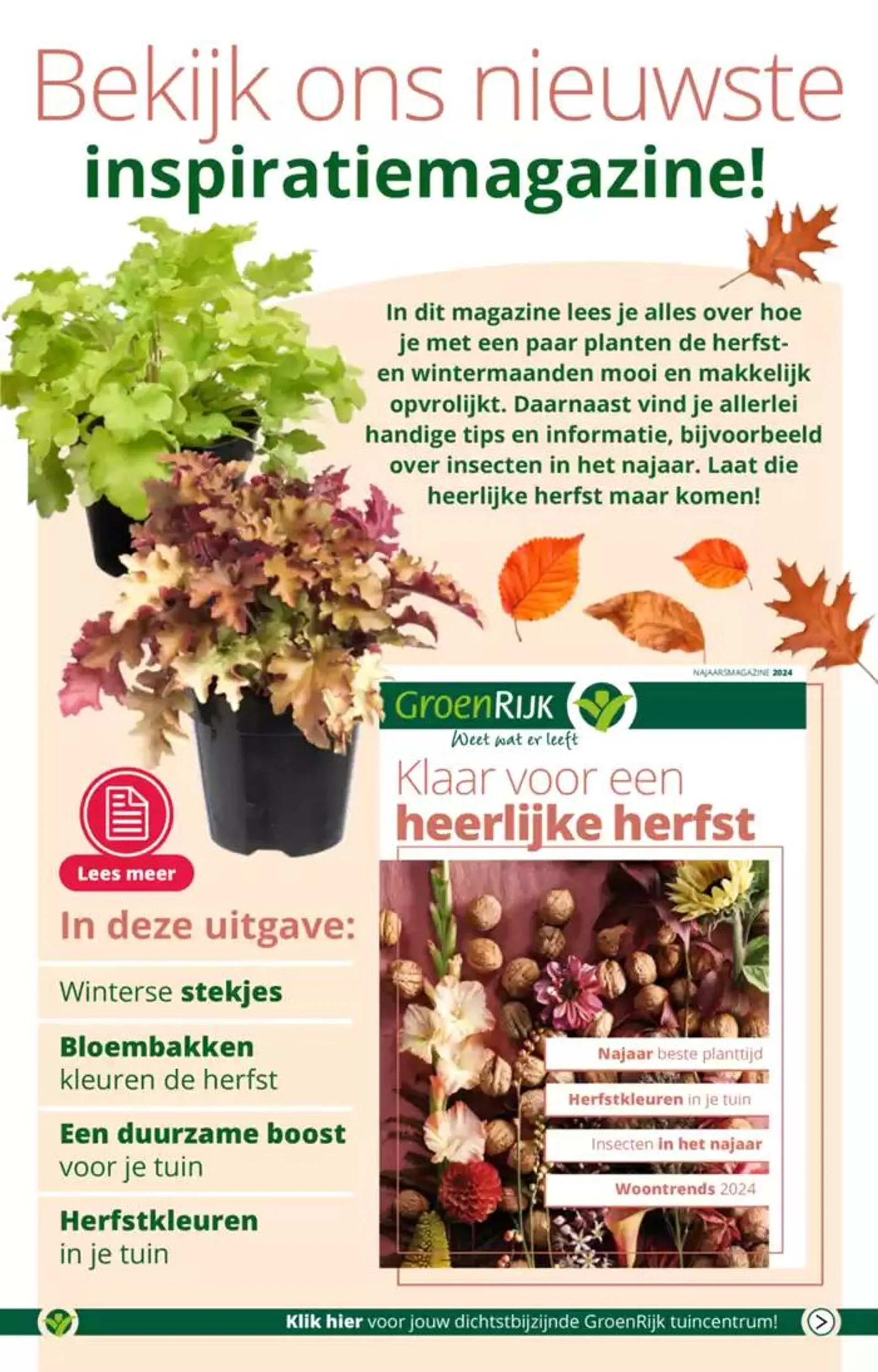 GroenRijk folder van 13 november tot 27 november 2024 - Folder pagina 2