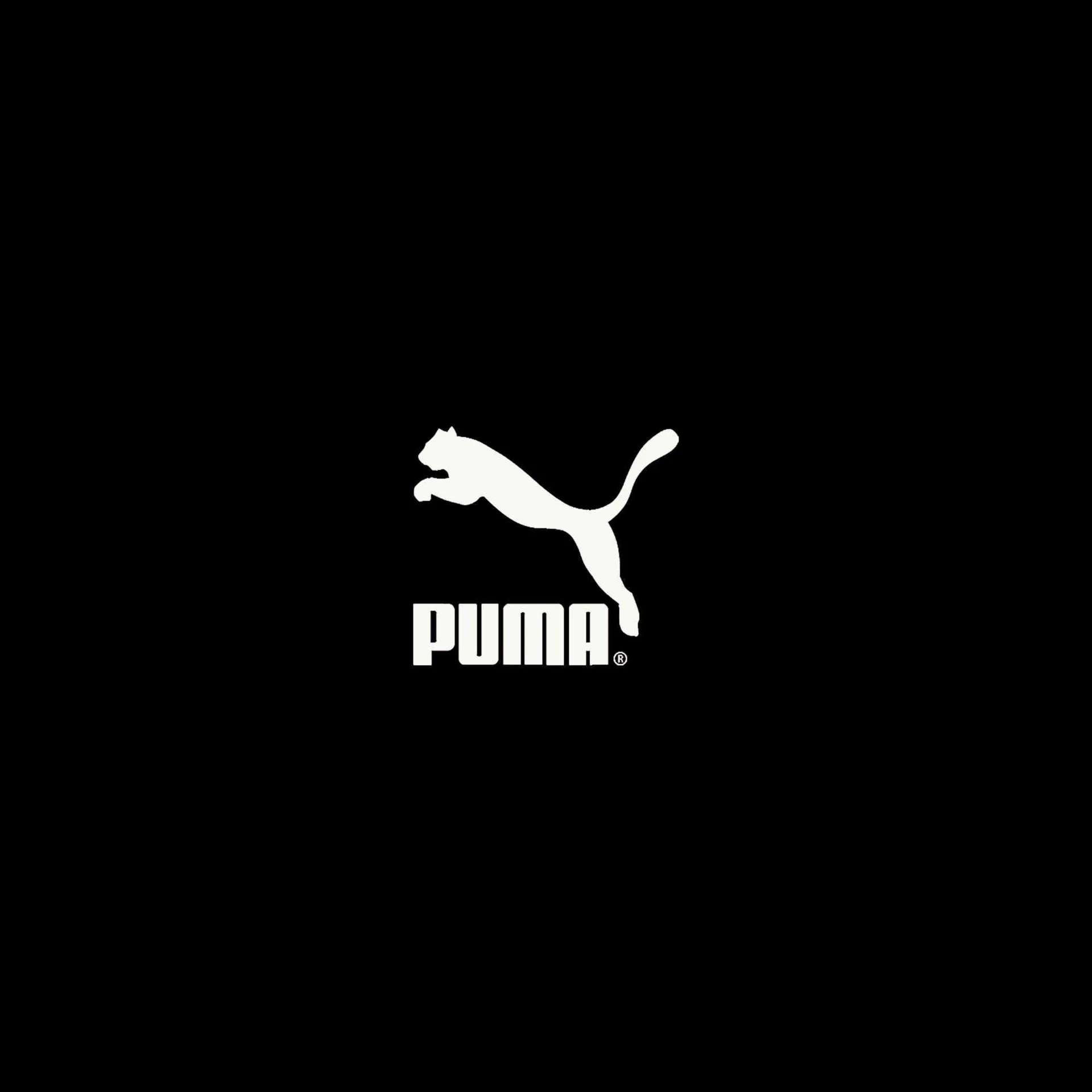 Puma Folder - 12