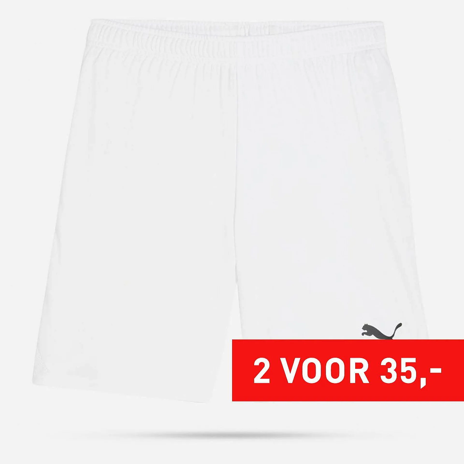 PUMA Teamgoal Shorts Senior