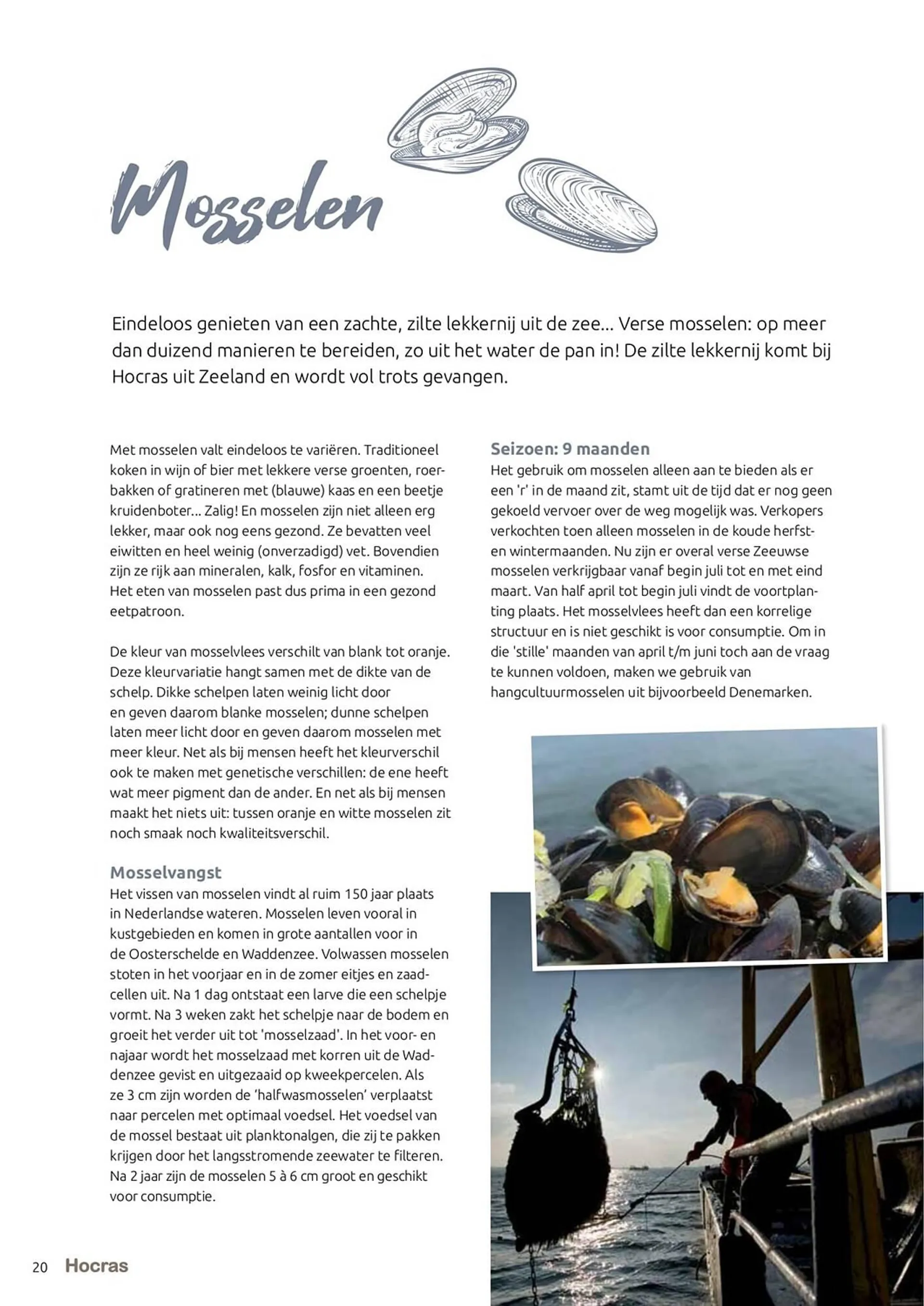 Hocras folder van 15 februari tot 31 december 2023 - Folder pagina 20