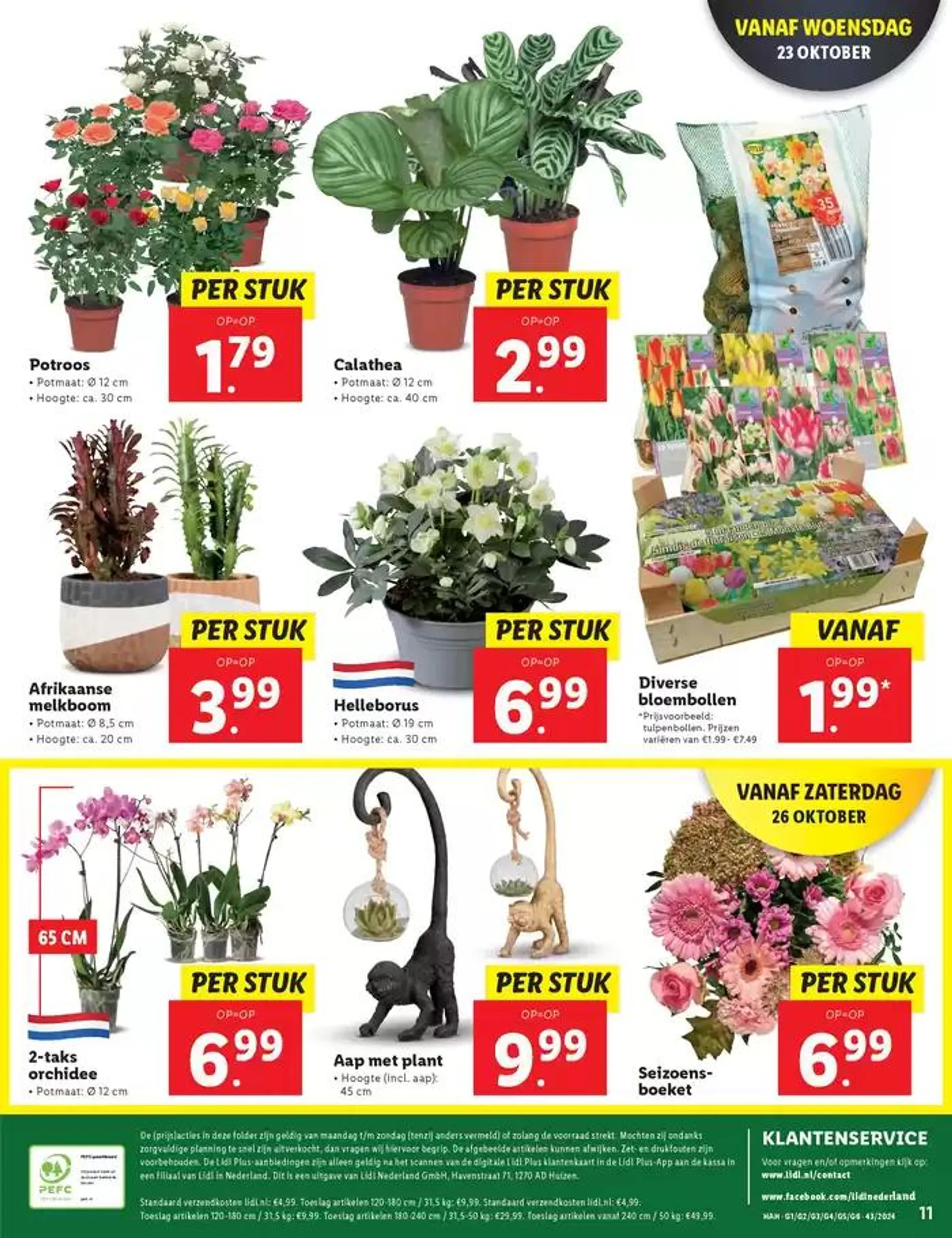 Topdeals en kortingen van 17 oktober tot 30 oktober 2024 - Folder pagina 11