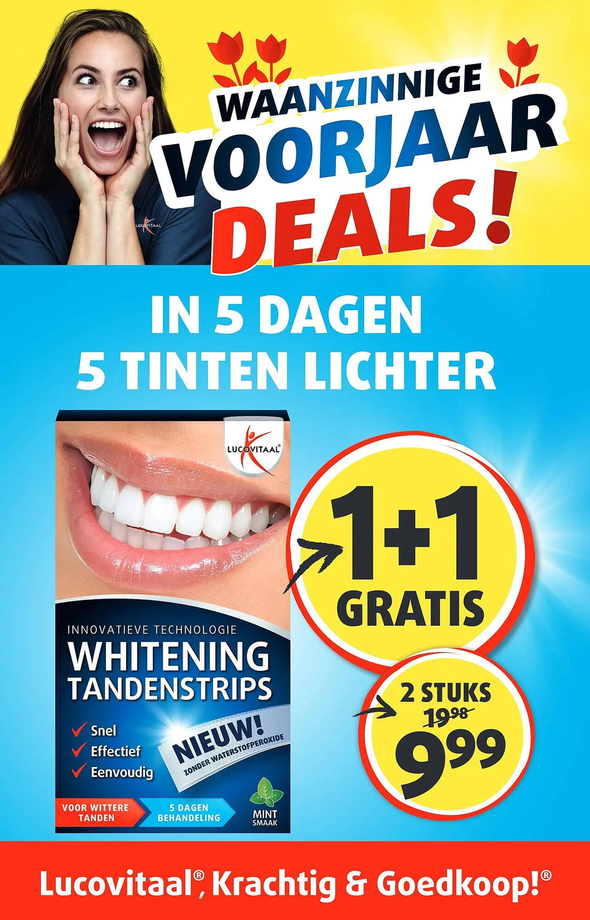 Lucovitaal folder - 1