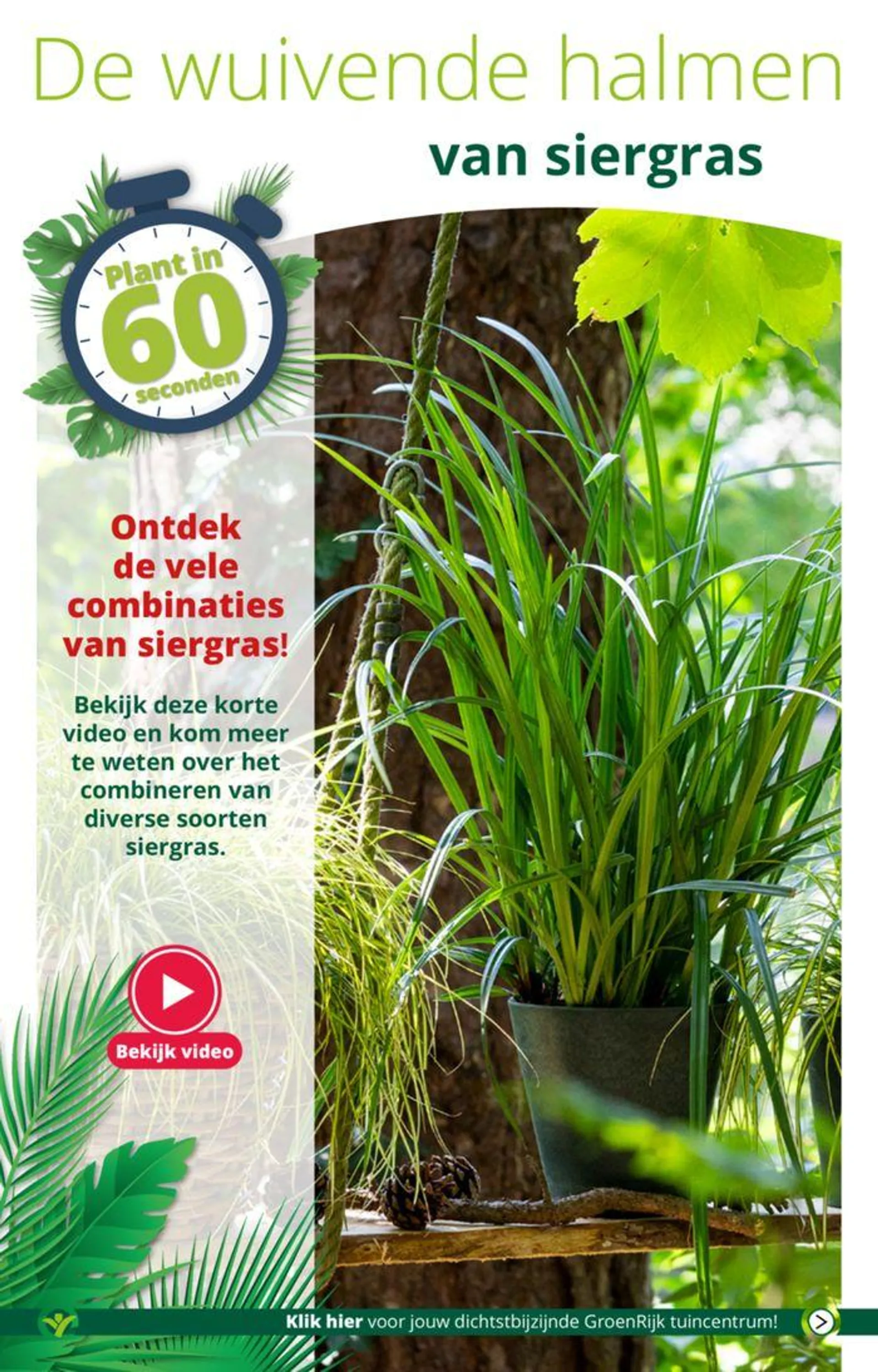 Genieten van groen op het terras van 1 mei tot 15 mei 2024 - Folder pagina 4