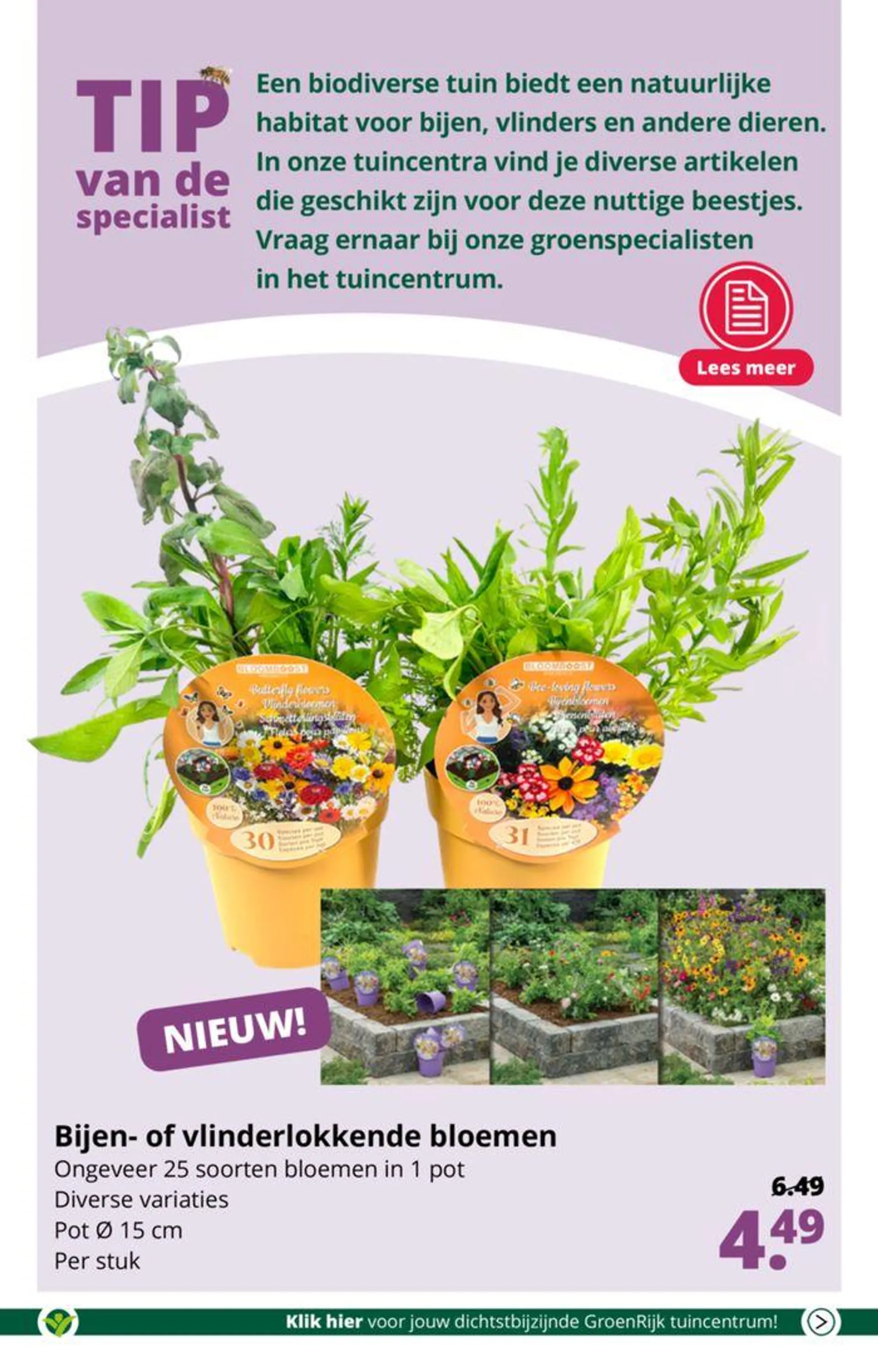 Fleur je tuin of terras op met kleur! van 15 mei tot 29 mei 2024 - Folder pagina 5