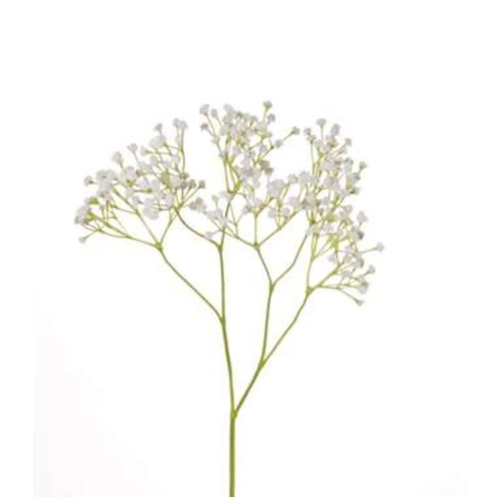 Kunstbloem - gipskruid gypsophila - takken - wit - 58 cm