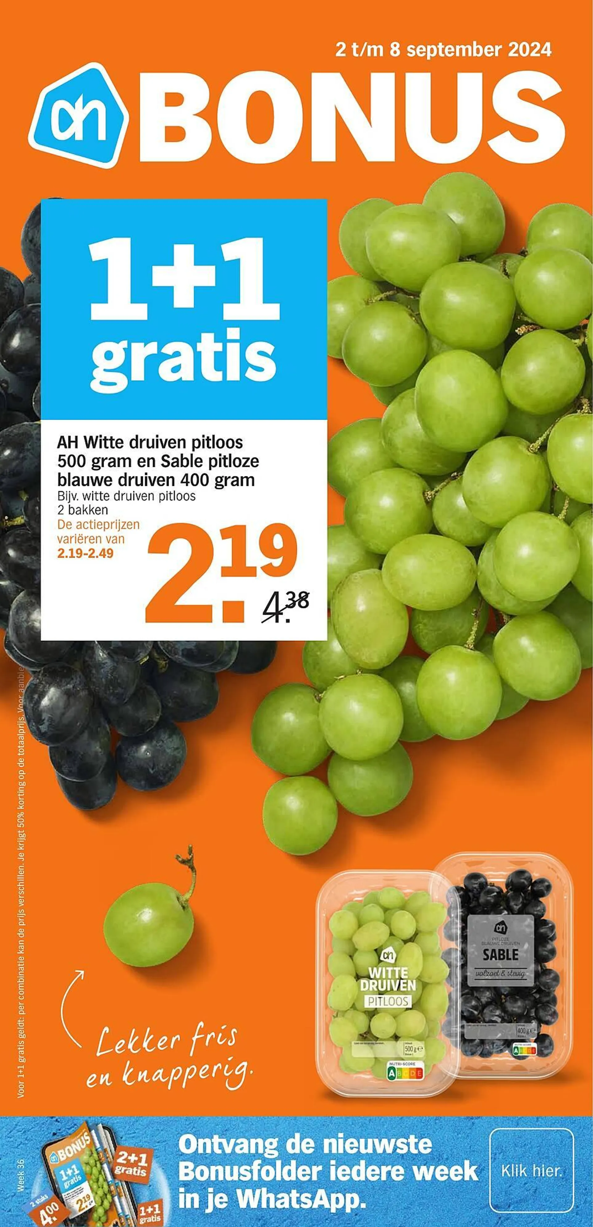 Albert Heijn folder - 1