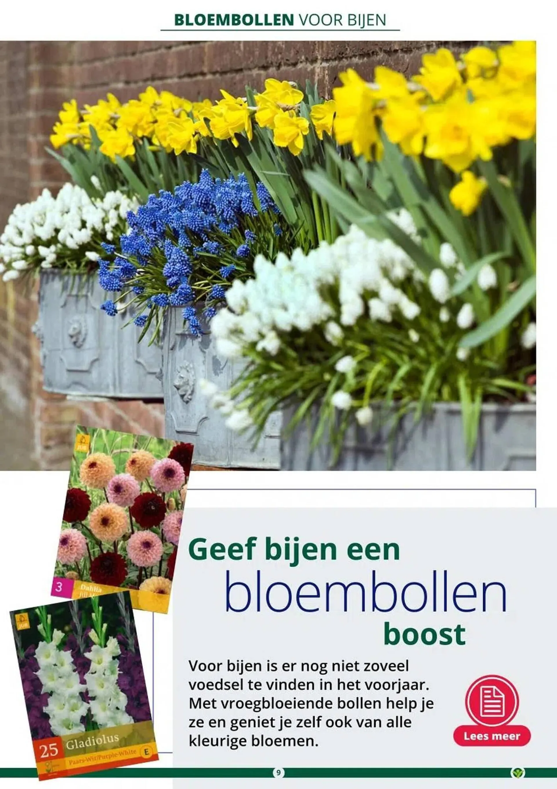 GroenRijk folder van 1 maart tot 30 juni 2024 - Folder pagina 9