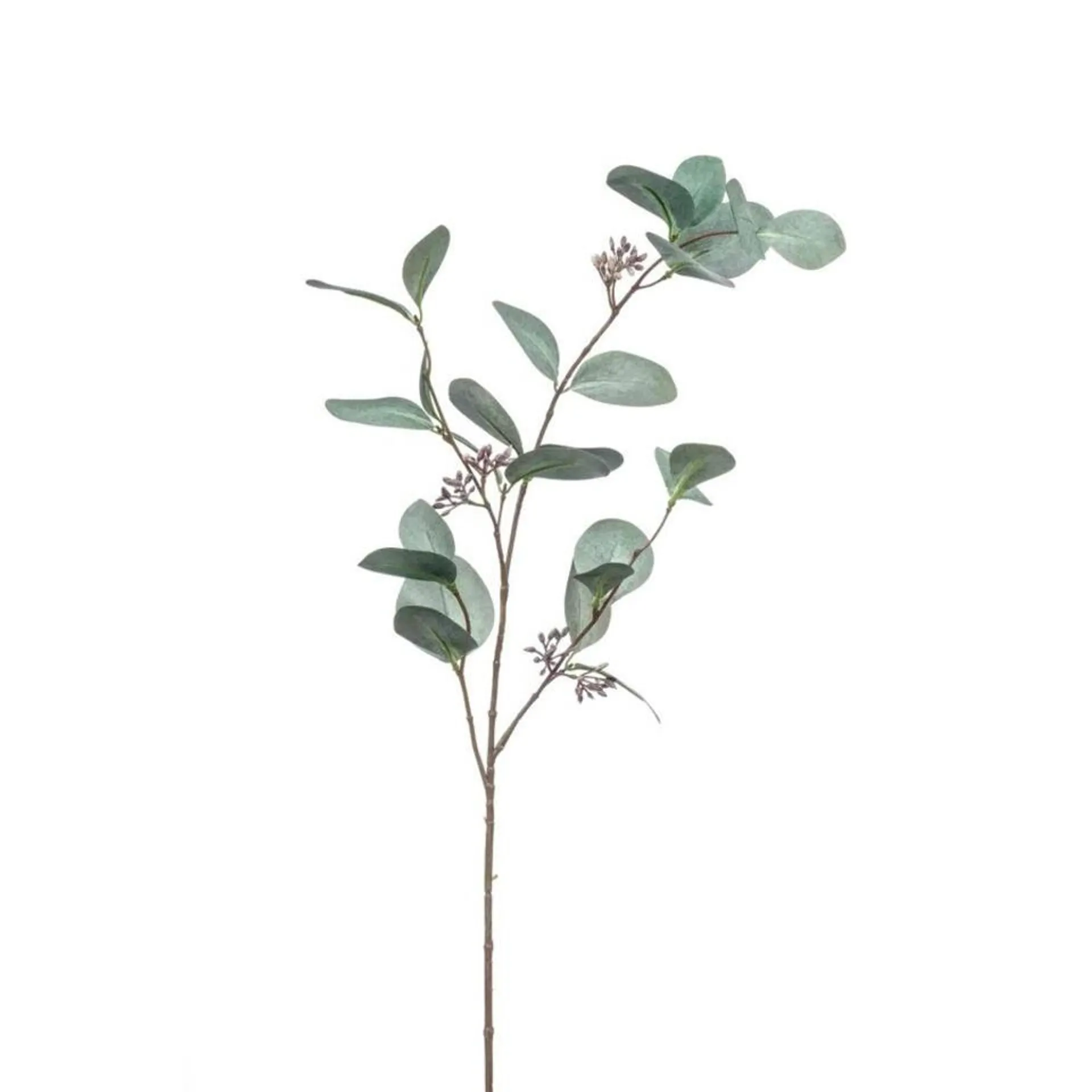 Emerald Kunstbloem Eucalyptus tak - 73 cm - groen