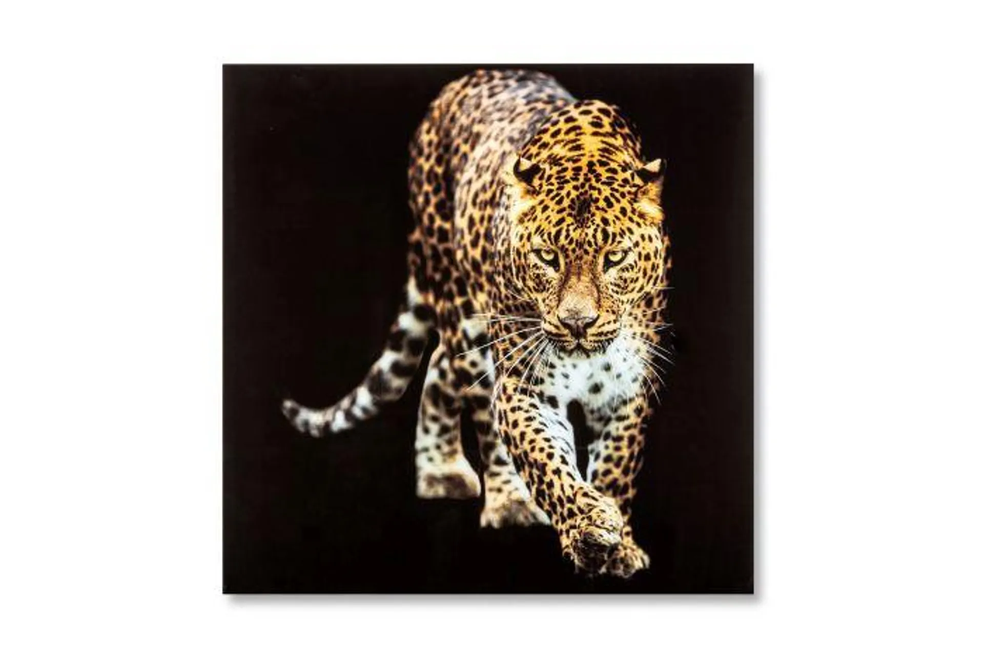 Feelings Wanddecoratie Leopard