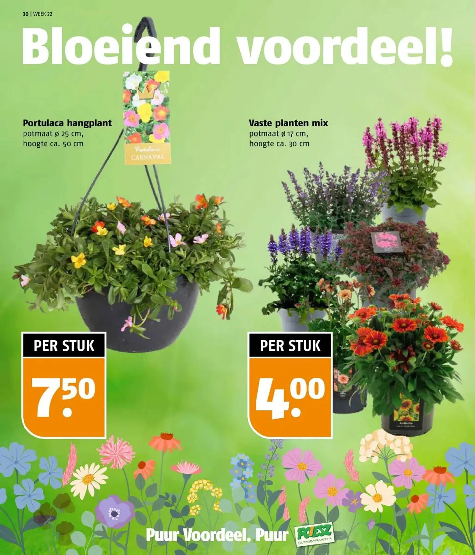 Poiesz folder van 26 mei tot 1 juni 2025 - Folder pagina 30