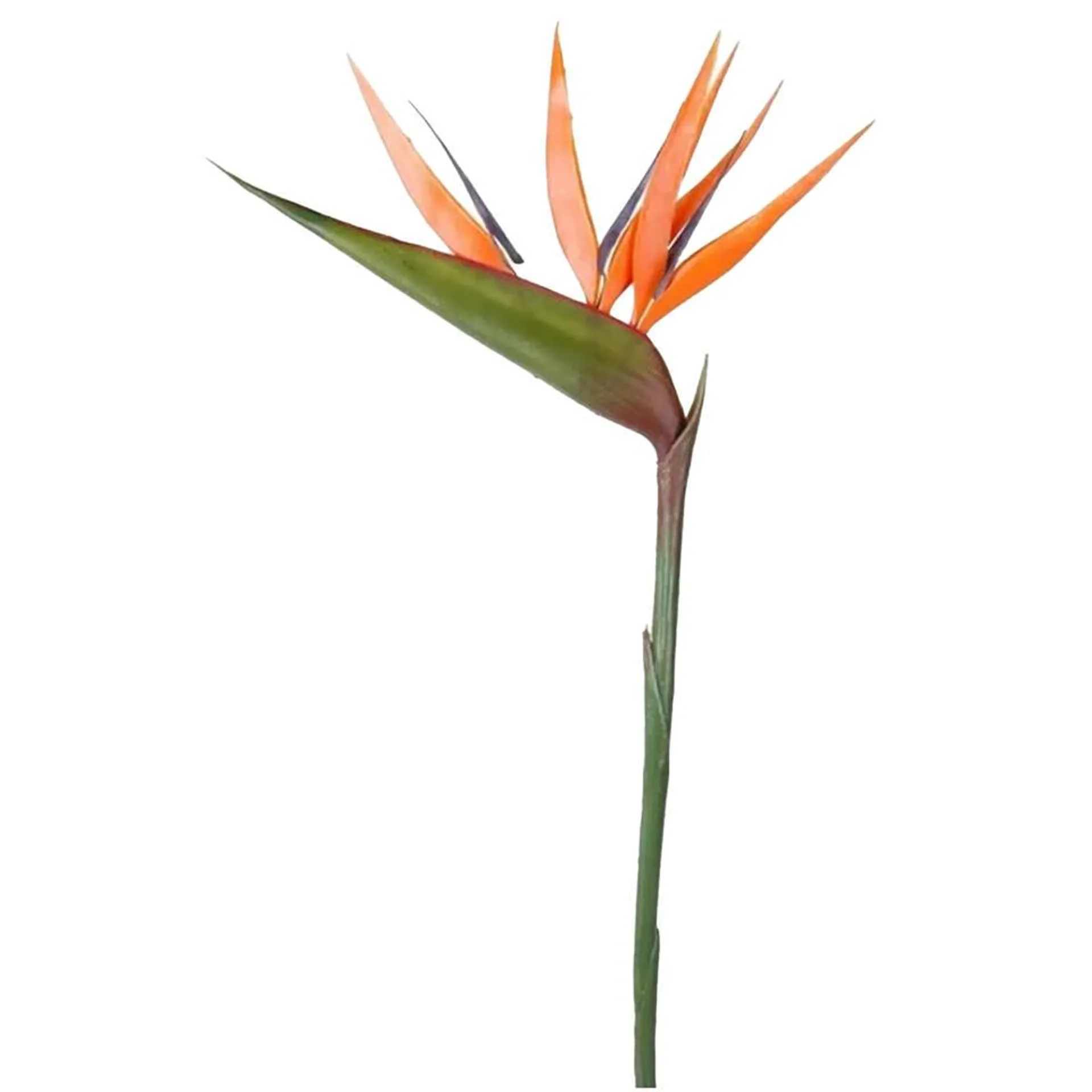 Bellatio flowers & plants Kunstbloem - strelitzia - oranje - 90 cm