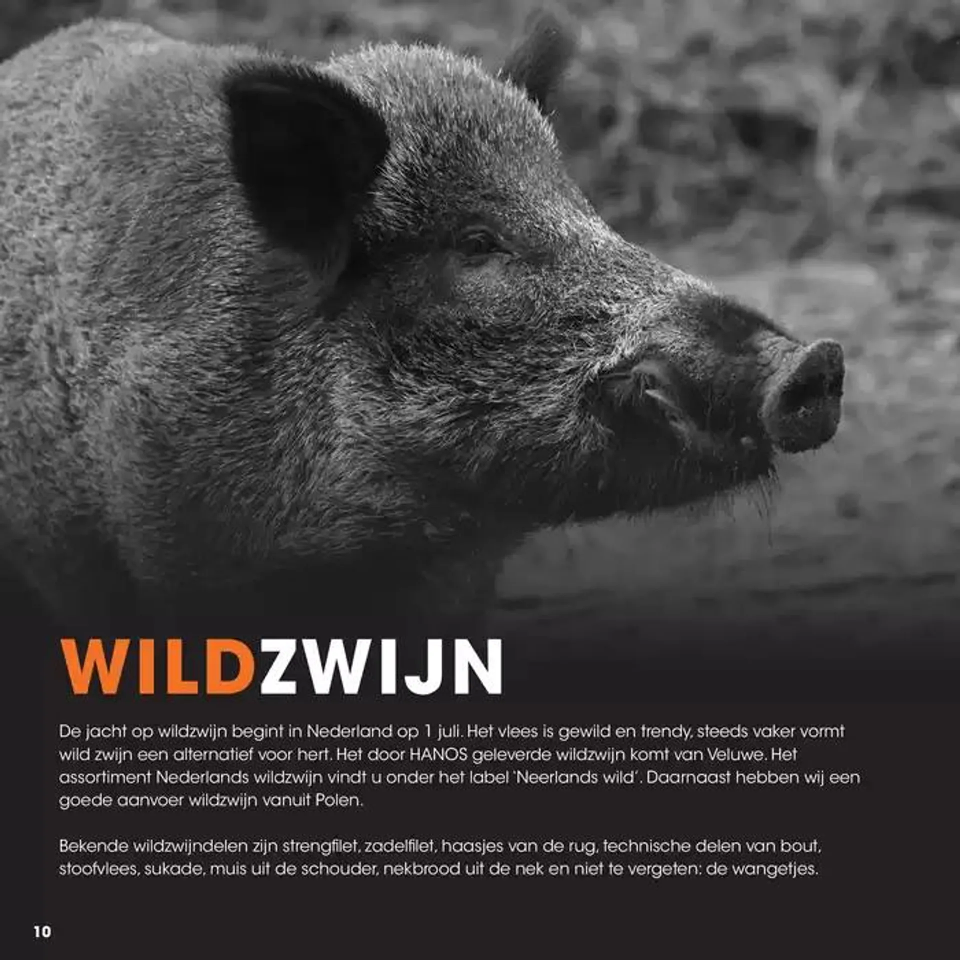 Wildbrochure 2024/2025 van 25 september tot 25 september 2025 - Folder pagina 10