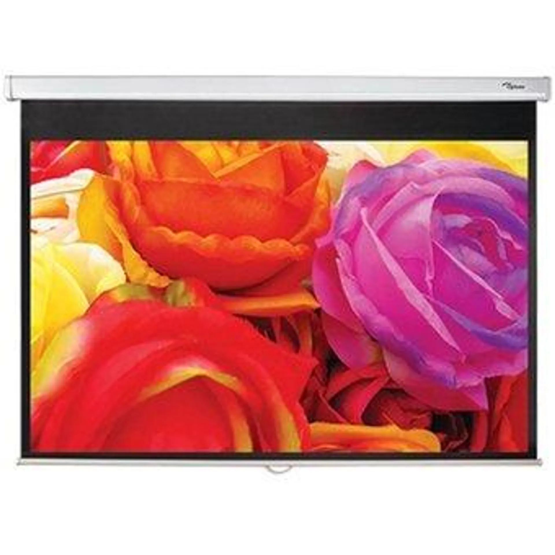 Optoma DS-1109PMG+/Screens Pull Down 16: