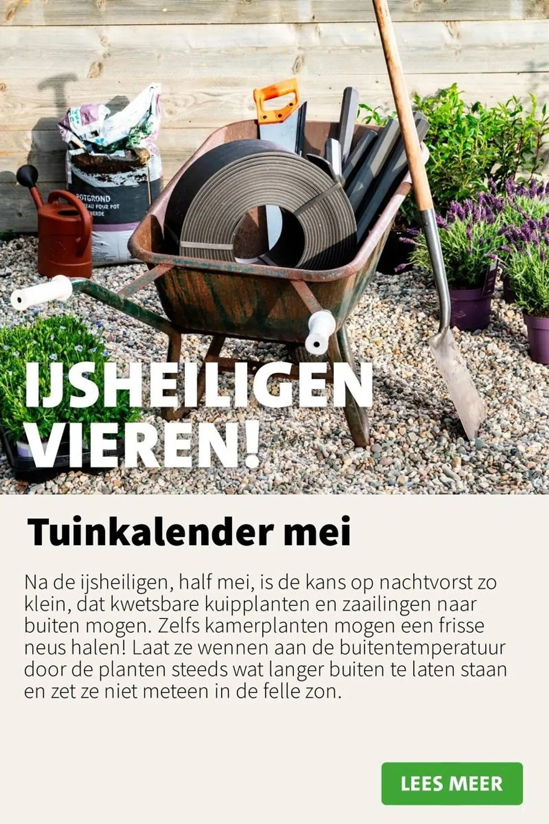 Intratuin folder van 12 mei tot 18 mei 2025 - Folder pagina 5