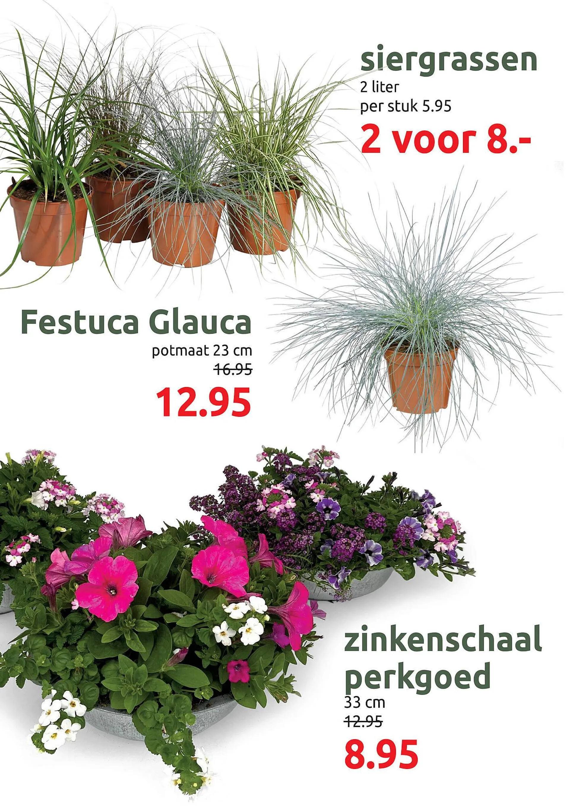 Deka Tuin folder van 12 mei tot 24 mei 2025 - Folder pagina 12