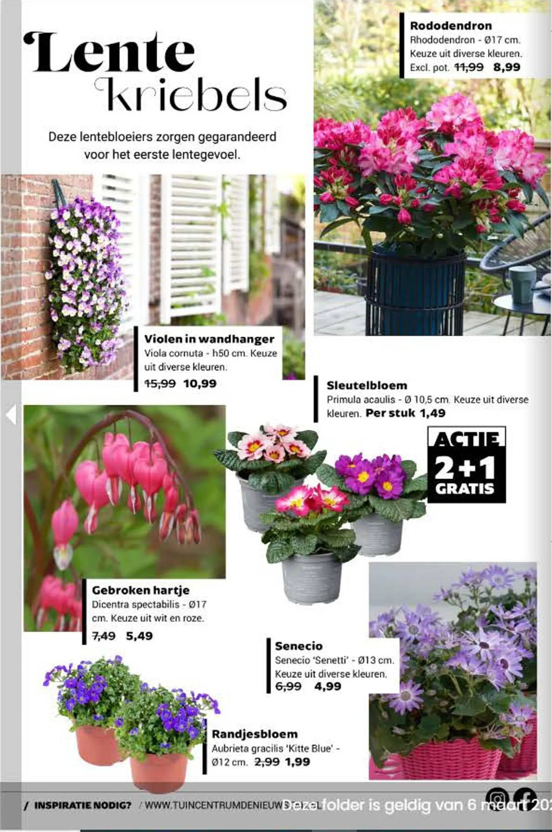 Tuincentrum de Nieuwstad folder van 6 maart tot 12 maart 2024 - Folder pagina 2