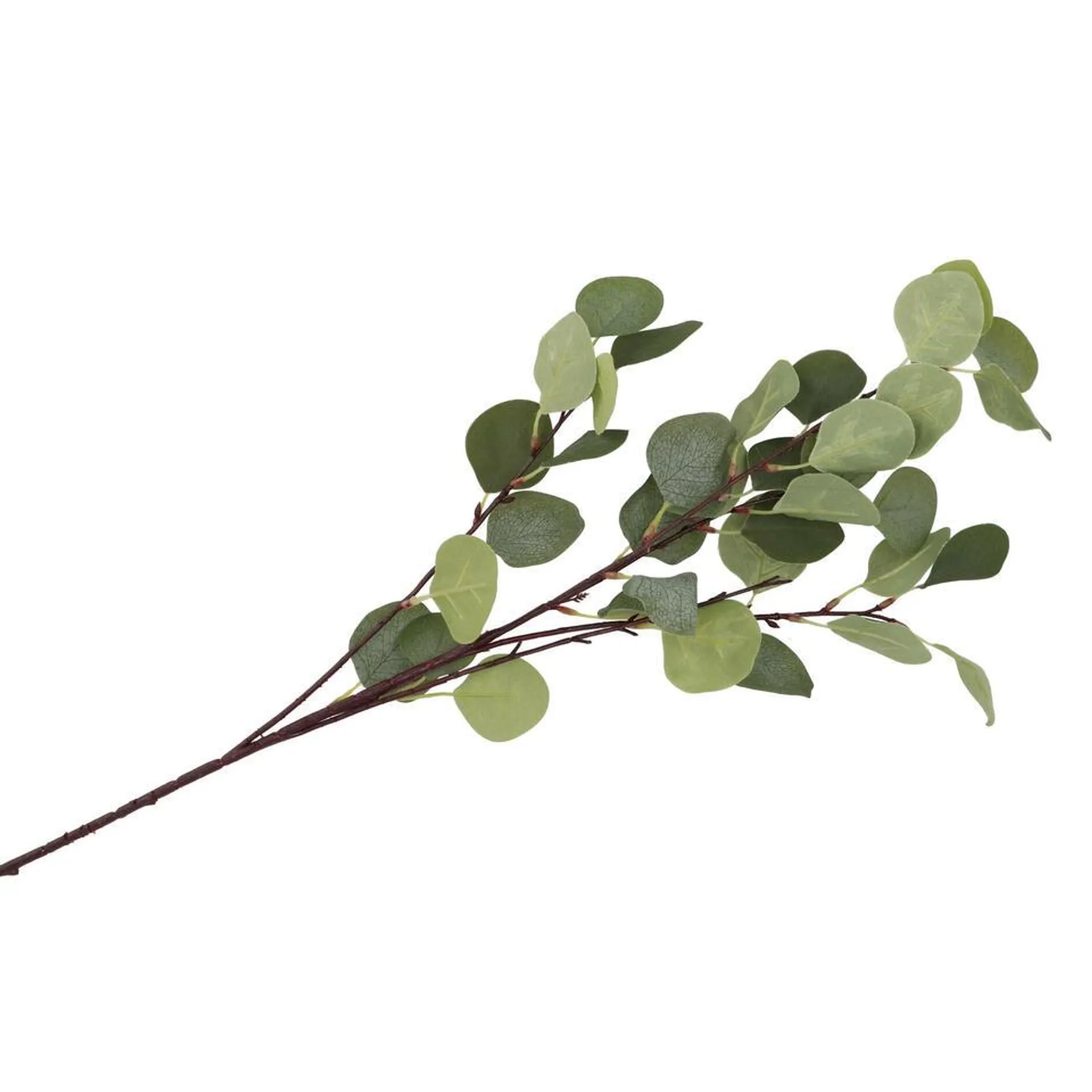 DK Design Kunstbloem Eucalyptus tak Real Touch - 90 cm - groen