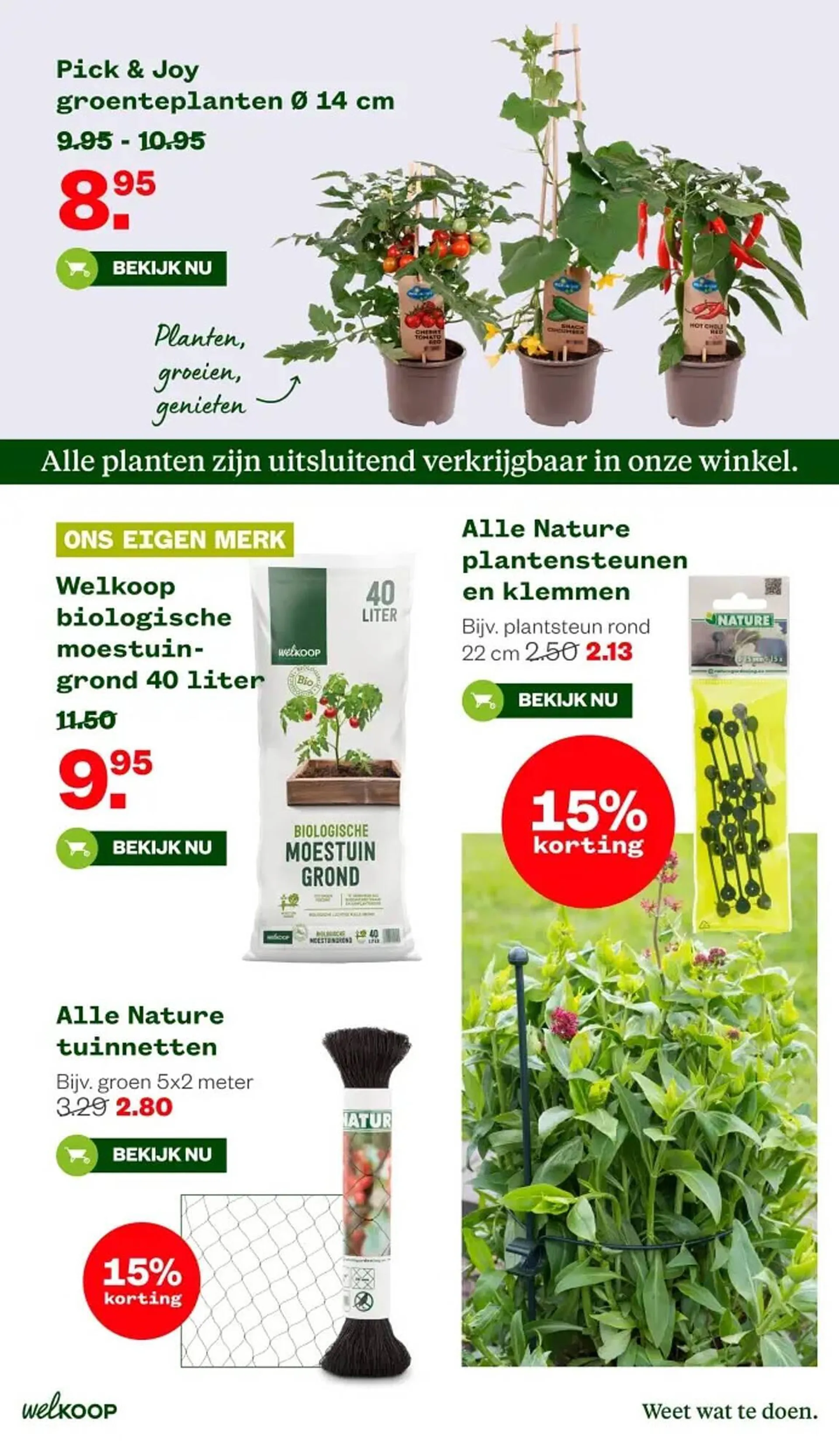 Welkoop folder van 12 mei tot 25 mei 2025 - Folder pagina 5