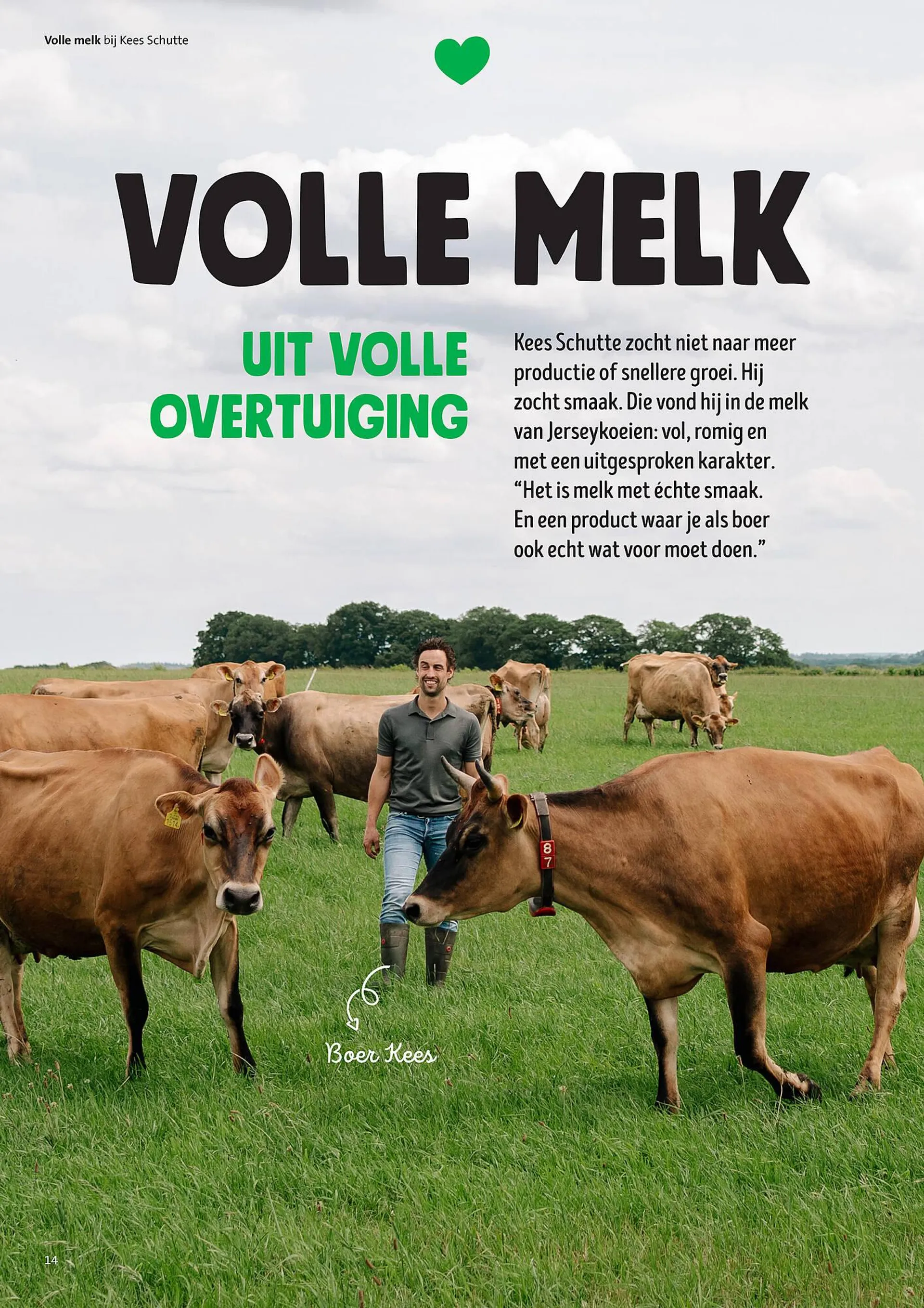 Jumbo folder van 30 juni tot 7 juli 2025 - Folder pagina 14