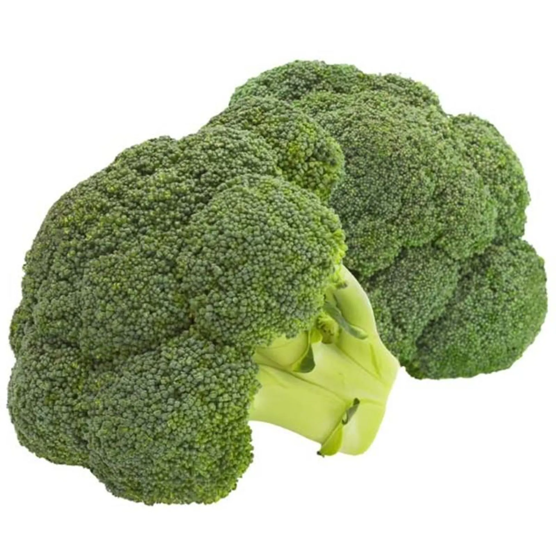 AH Broccoli