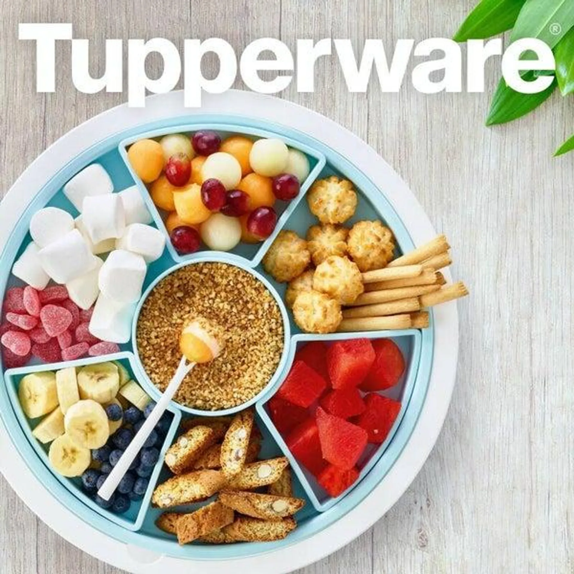 Tupperware Party Plateau