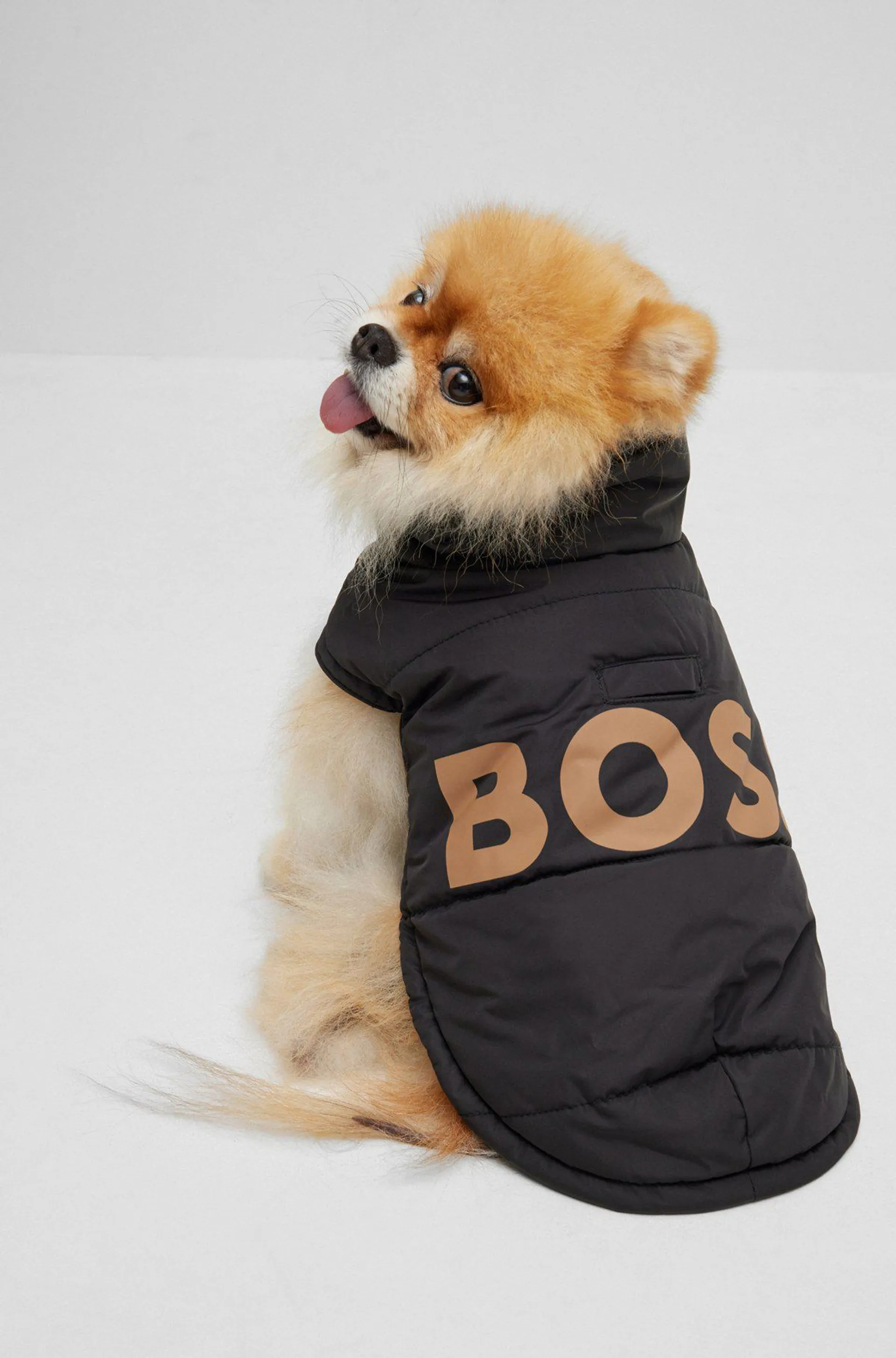 Dog padded jacket with contrast logo