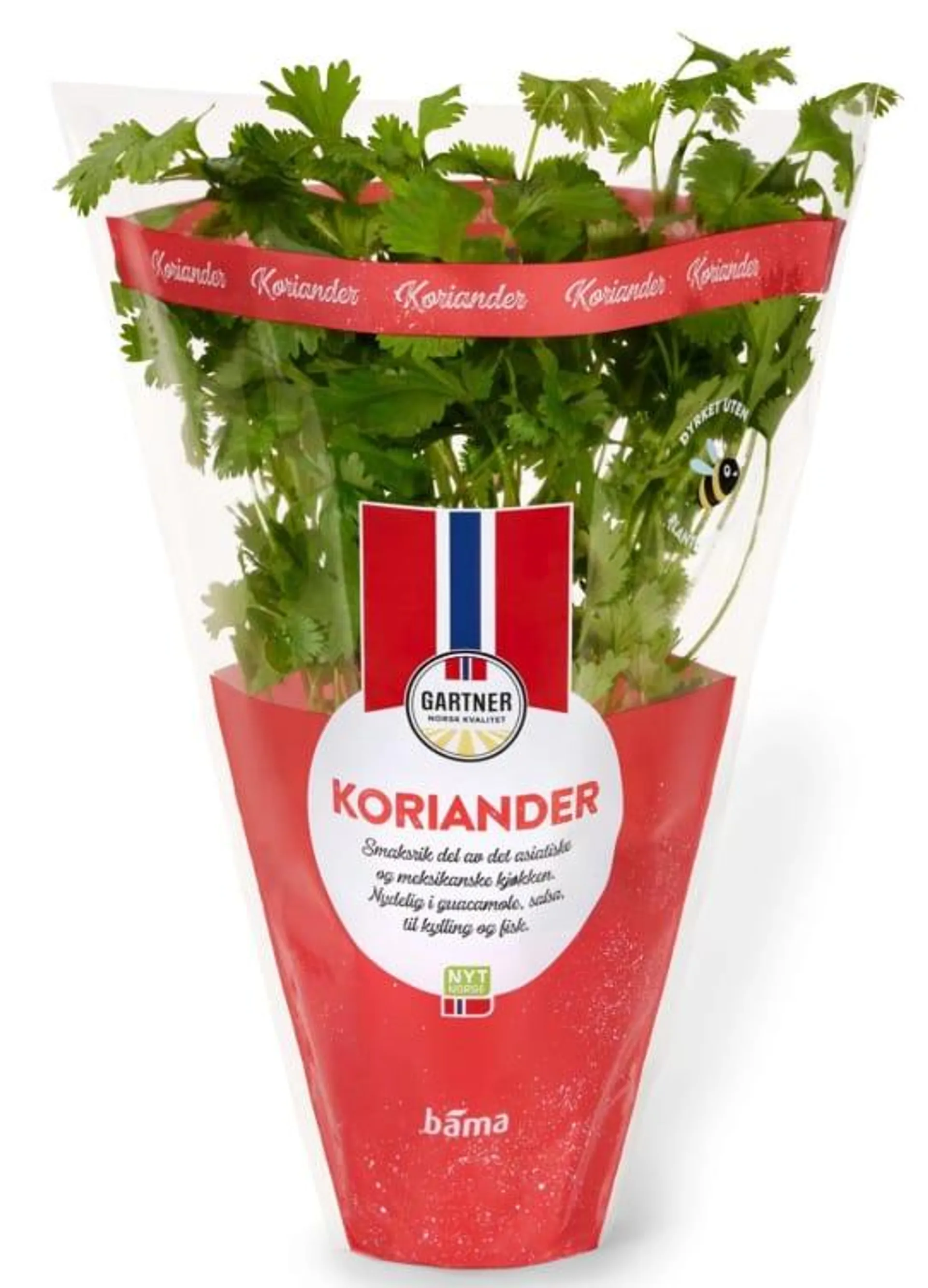 Koriander