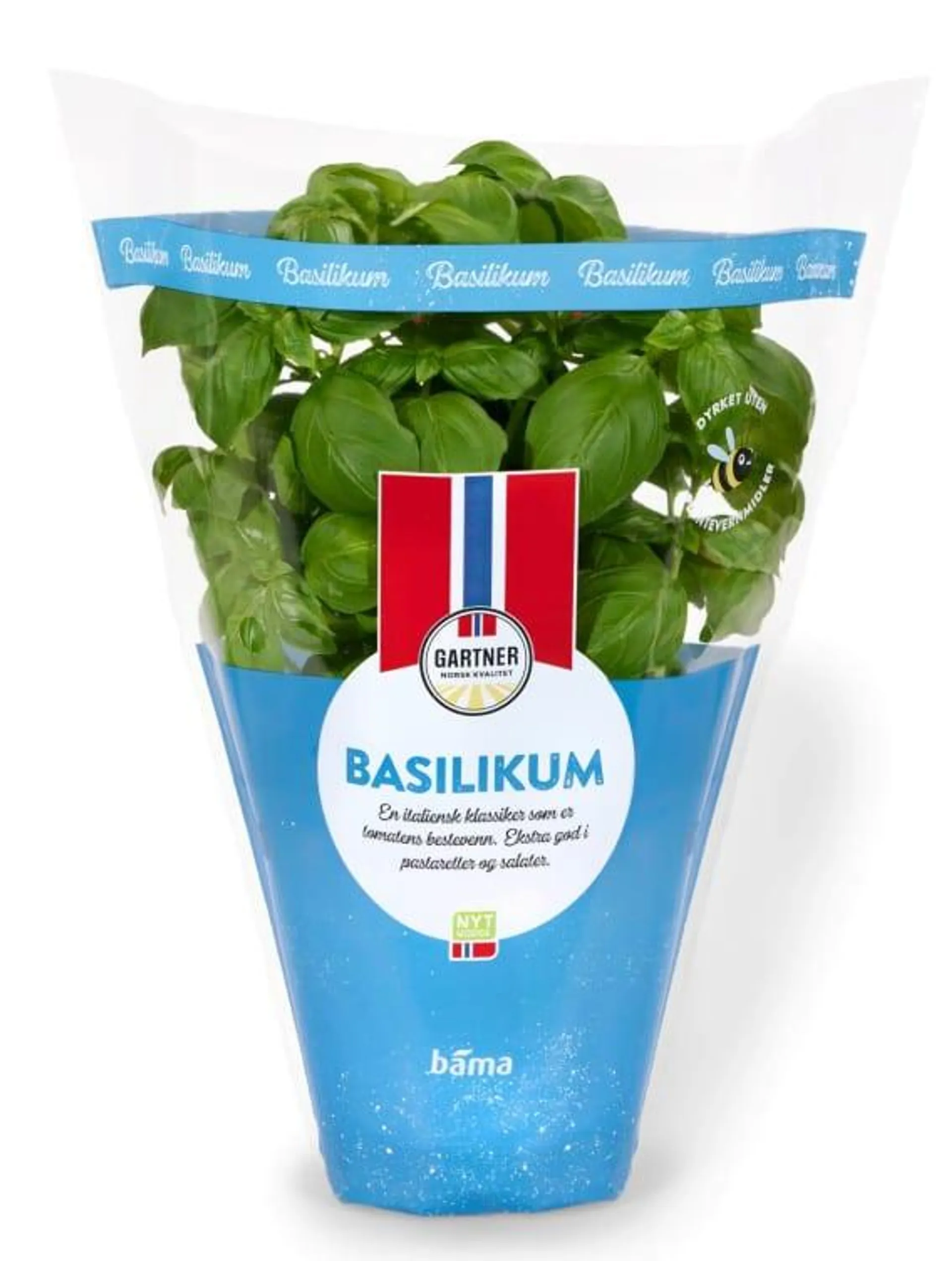 Basilikum