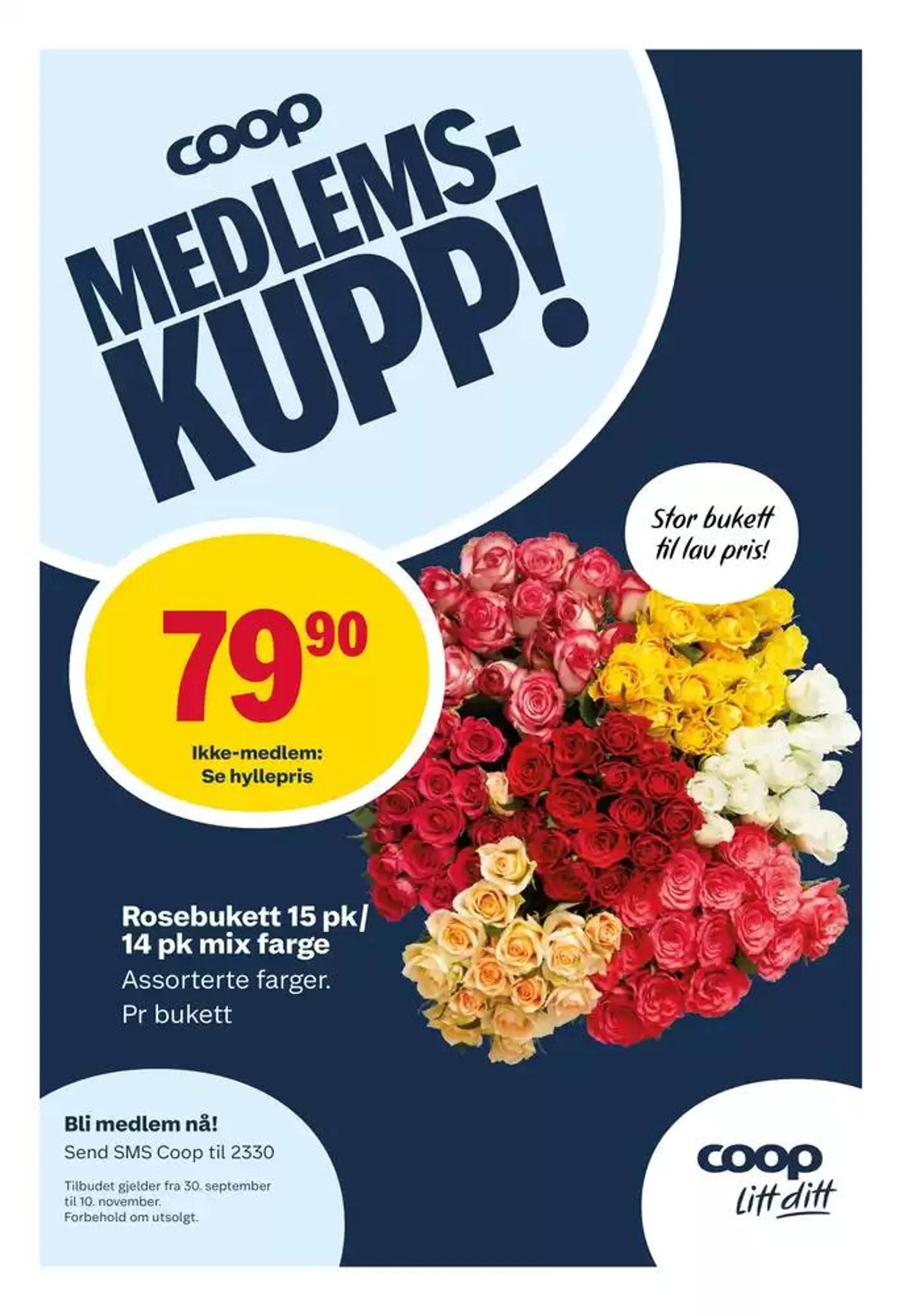 Tilbud for kuppjegere fra 28. oktober til 3. november 2024 - kundeavisside 5