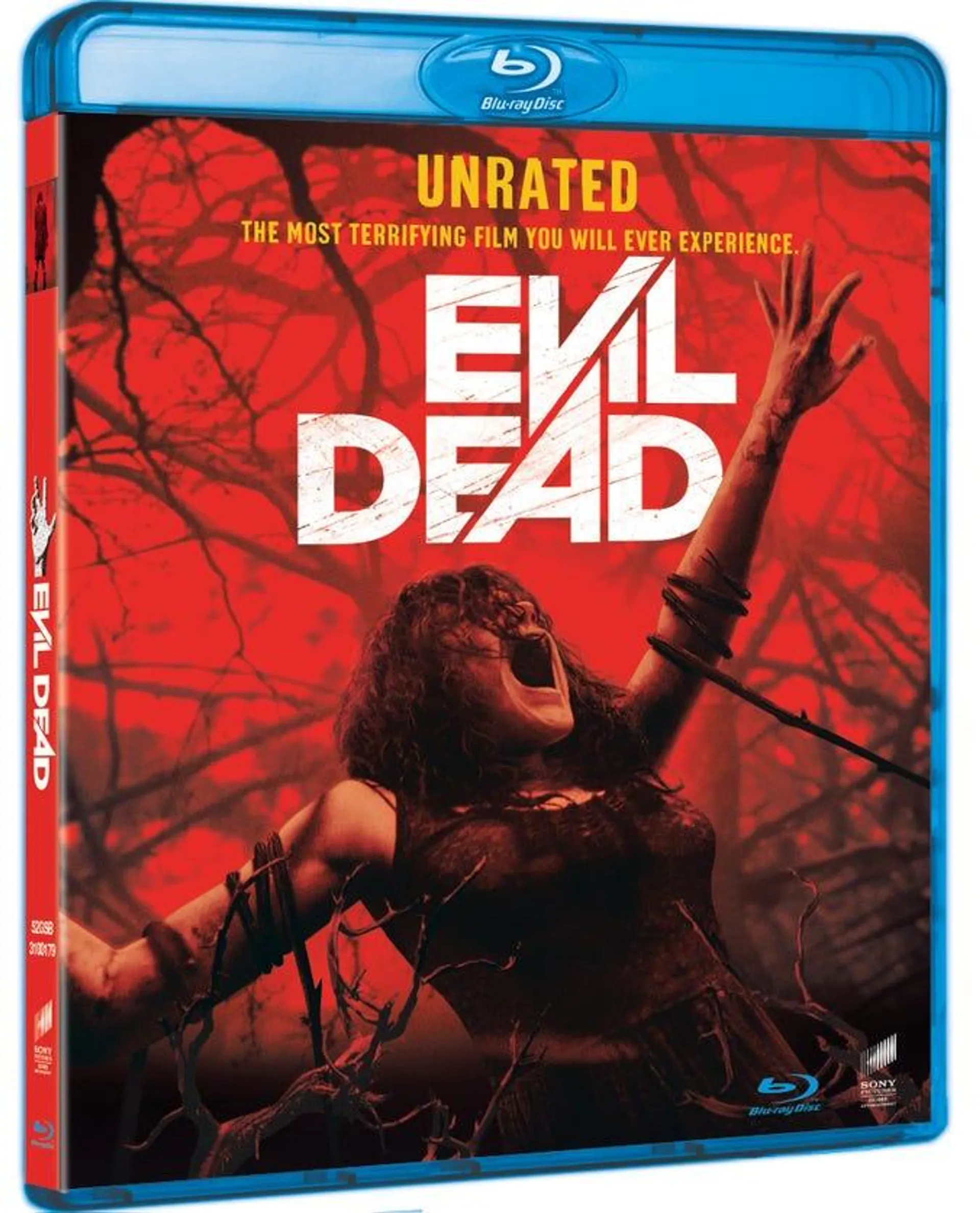 Evil Dead - Unrated (2013)