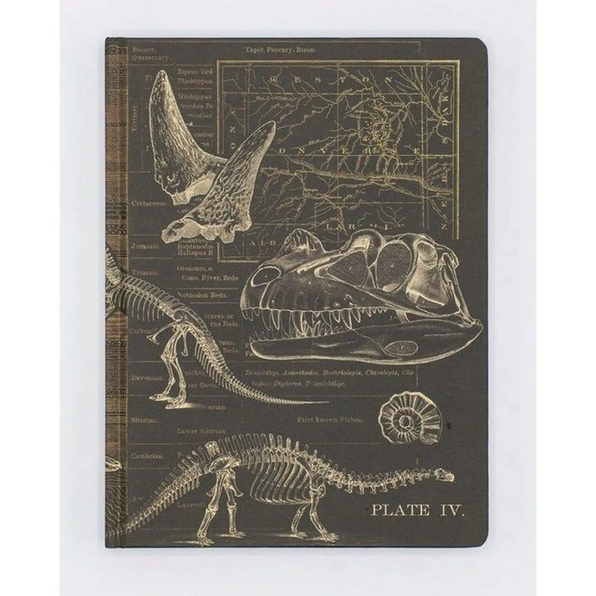 Dinosaur Bones: Paleontology Hardcover - Dot Grid notebook