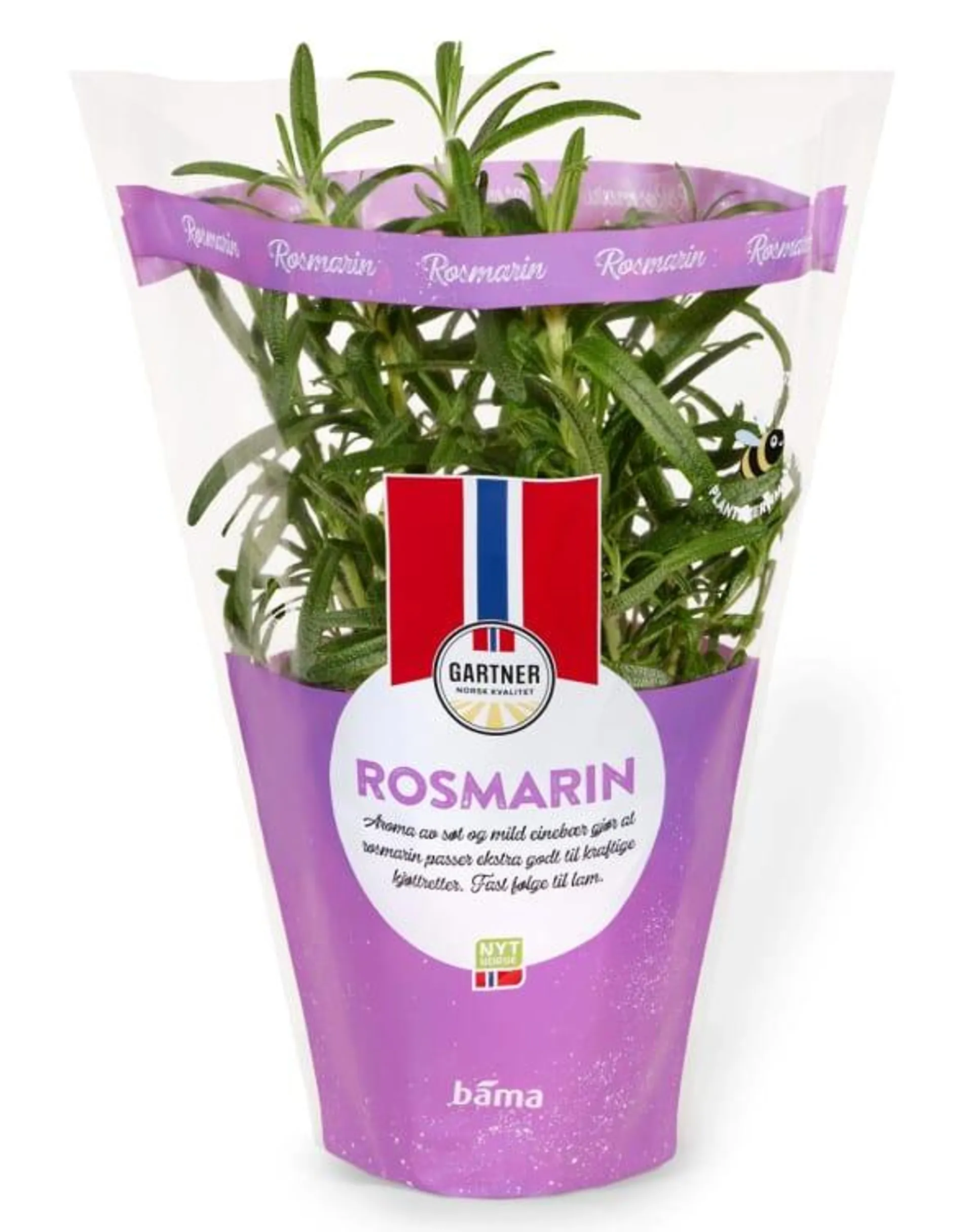 Rosmarin