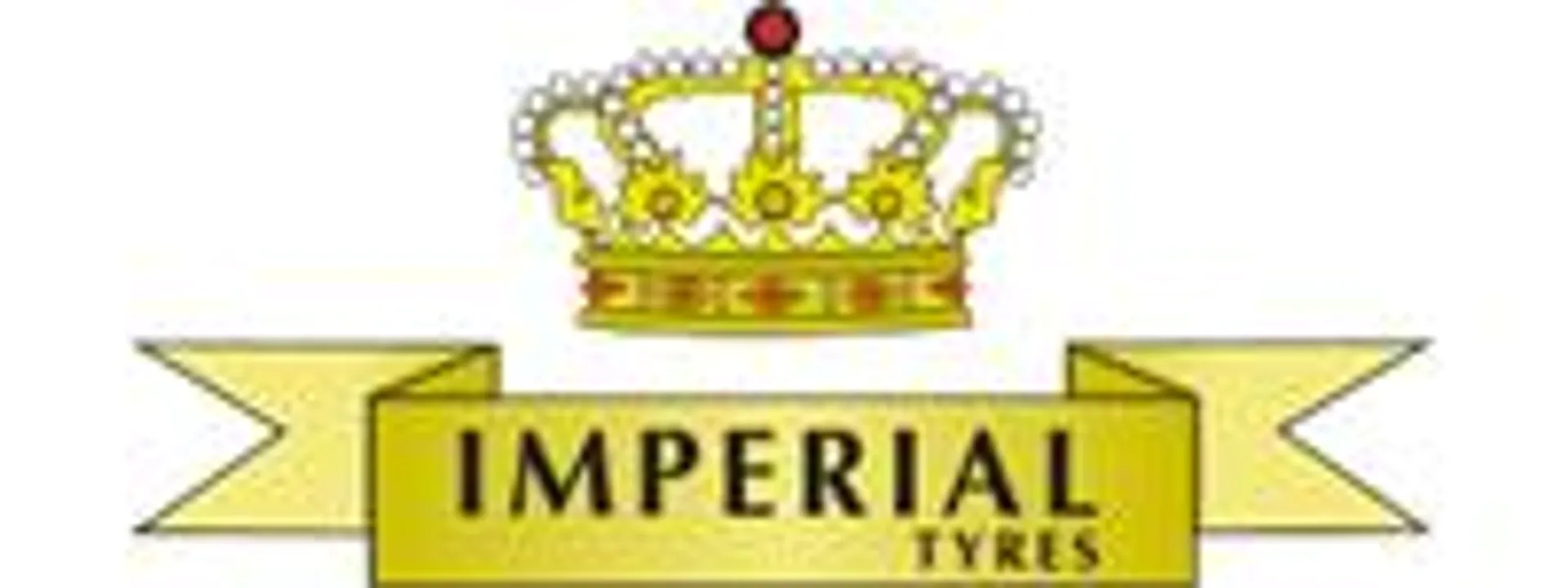 Dæk 245/40-20 99V XL Imperial Snowdr.UHP